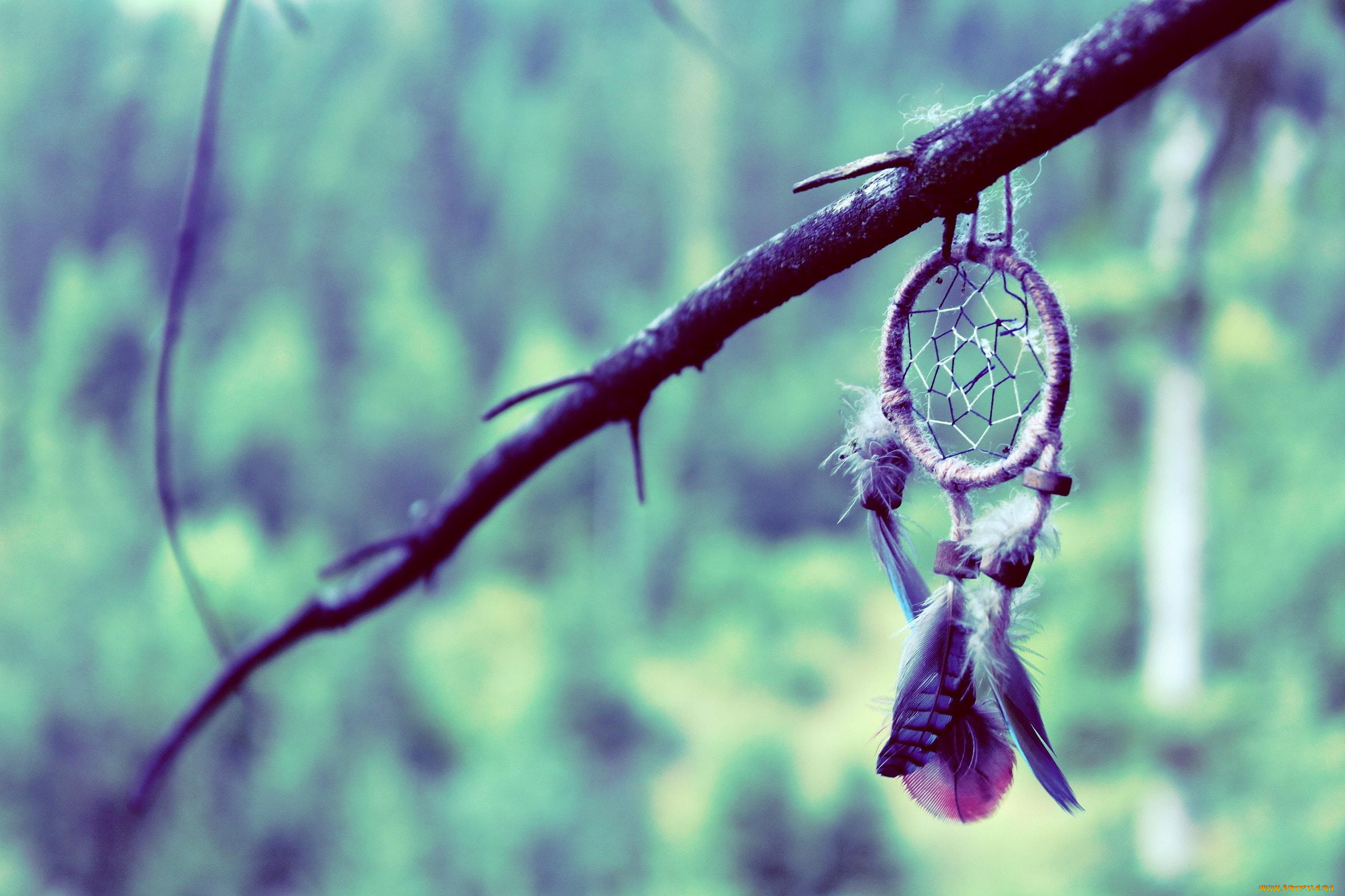 разное, украшения, , аксессуары, , веера, ловец, снов, ветка, плетение, перья