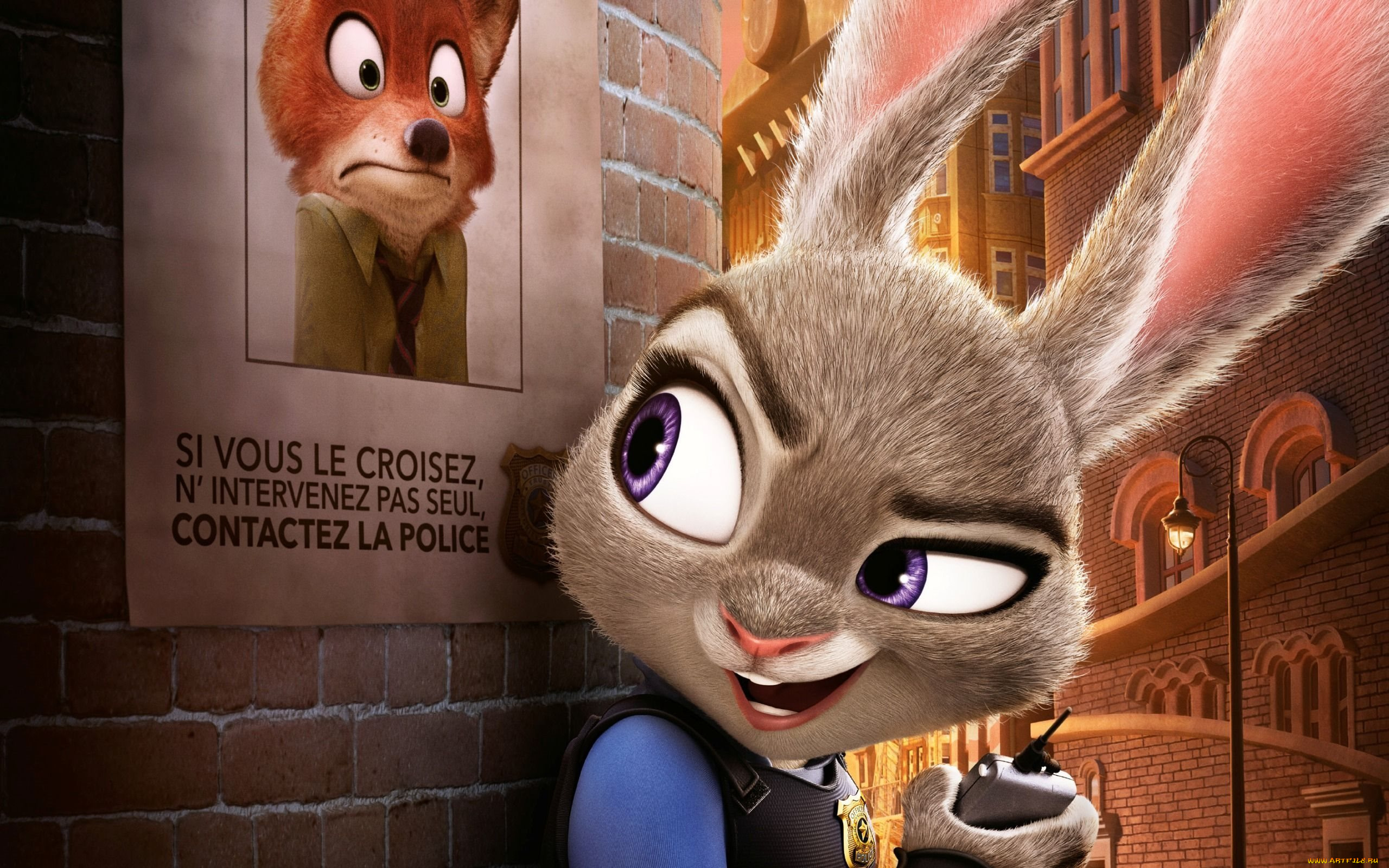 мультфильмы, zootopia