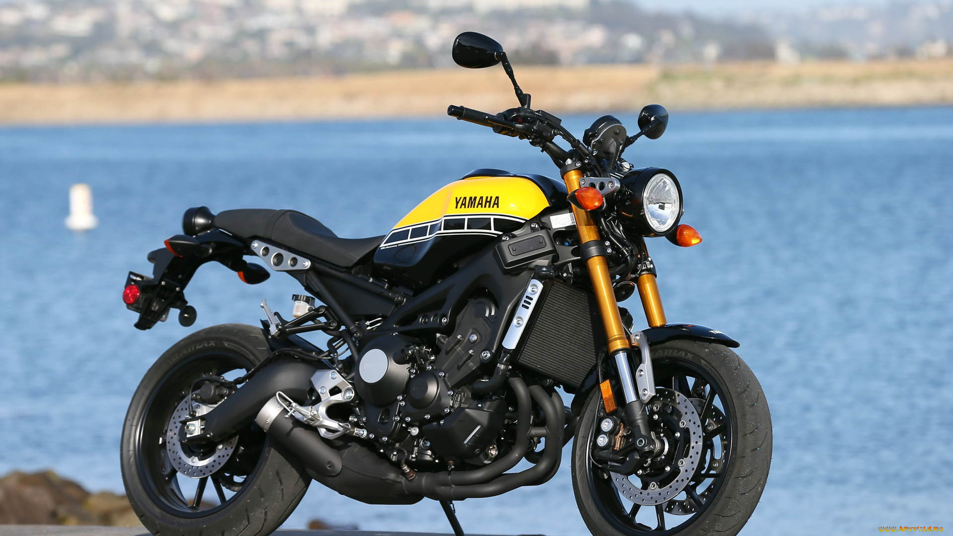 2020, yamaha, xsr900, мотоциклы, yamaha, xsr900, 2020, городской, байк, вид, сбоку, новый, японские