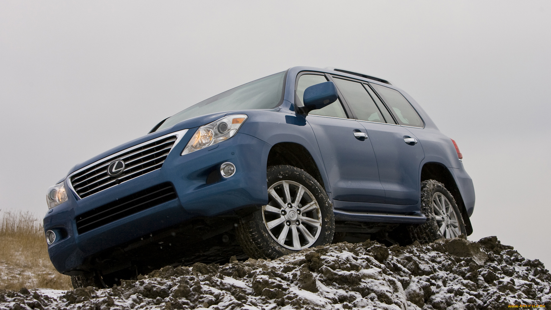 автомобили, lexus