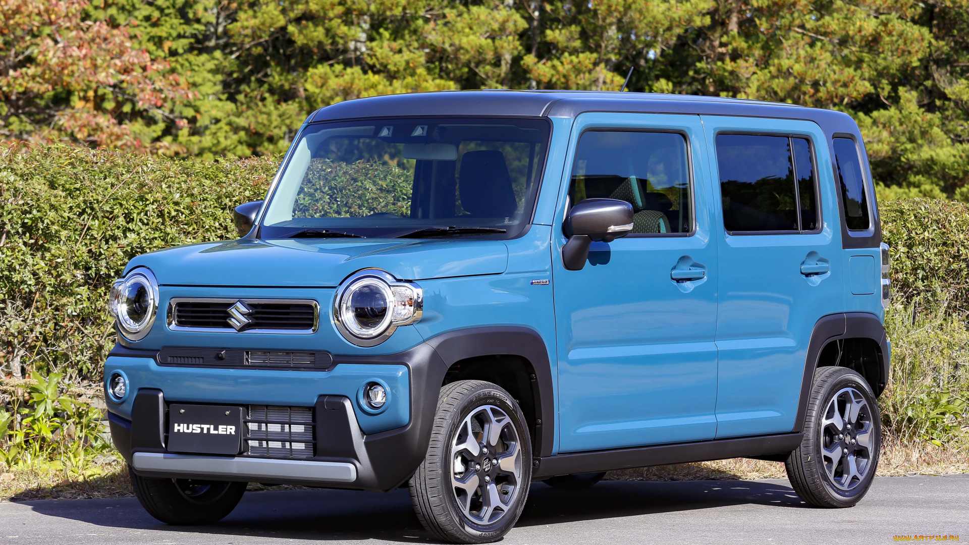 автомобили, suzuki