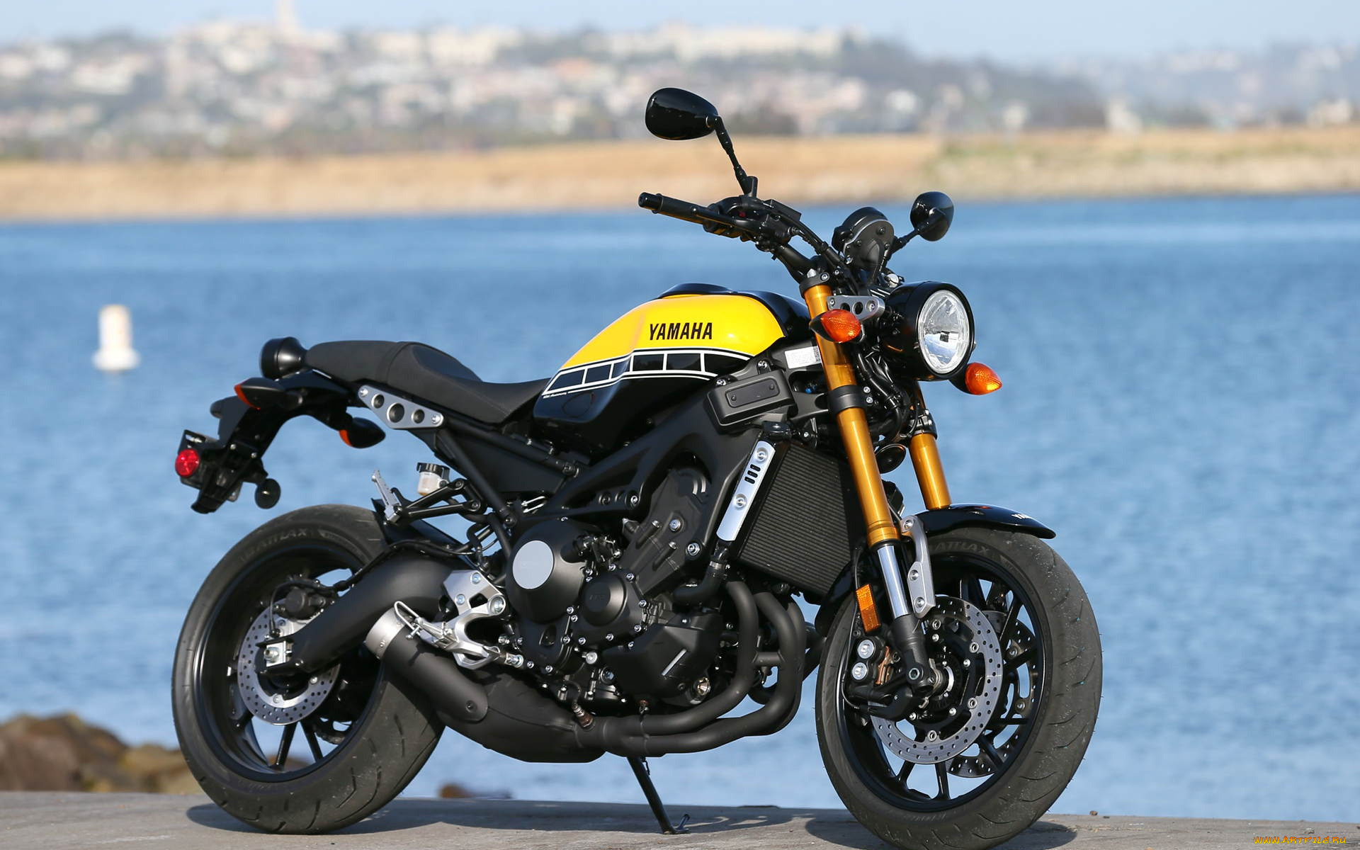 2020, yamaha, xsr900, мотоциклы, yamaha, xsr900, 2020, городской, байк, вид, сбоку, новый, японские
