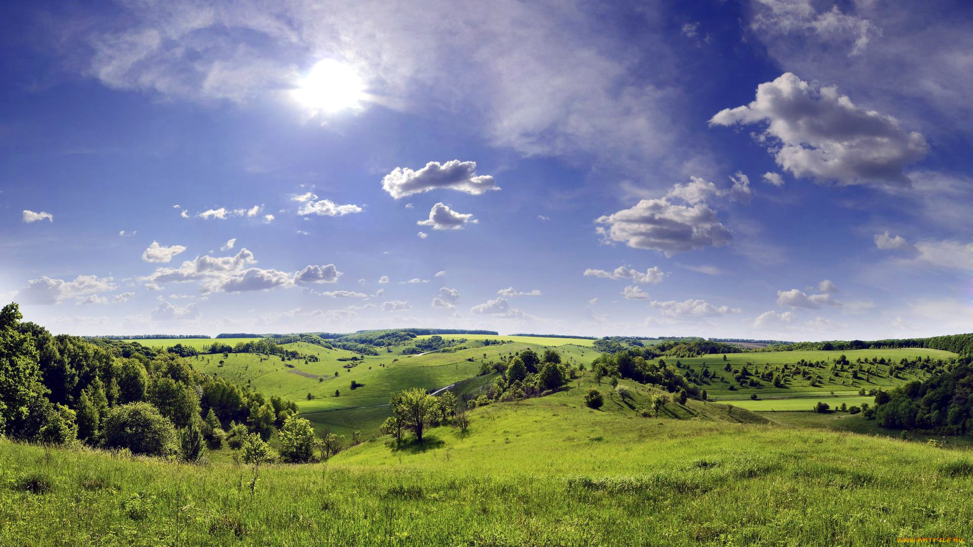 природа, луга, лето, луг, трава, цветы