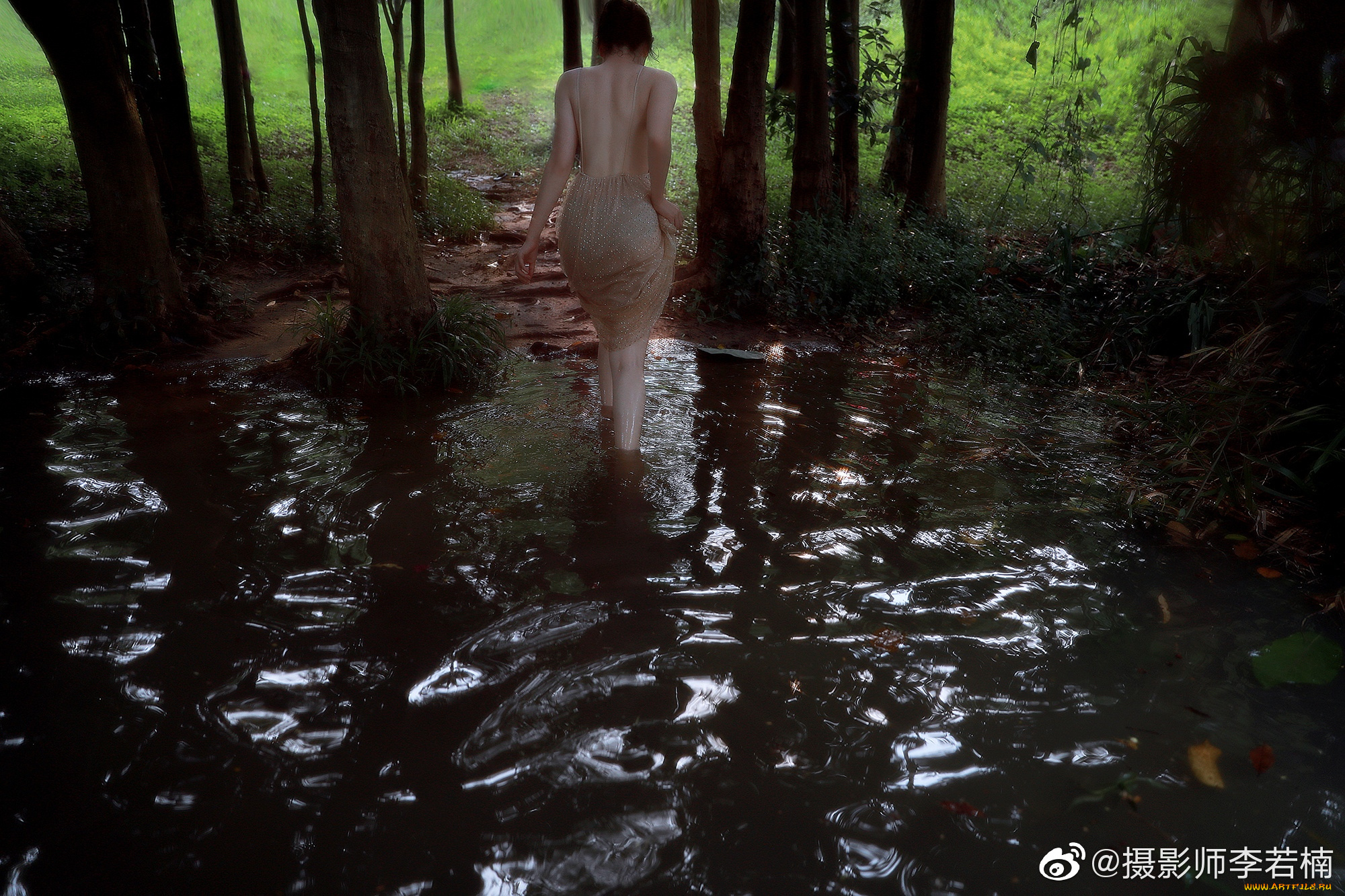 девушки, -, азиатки, юбка, спина, озеро, деревья