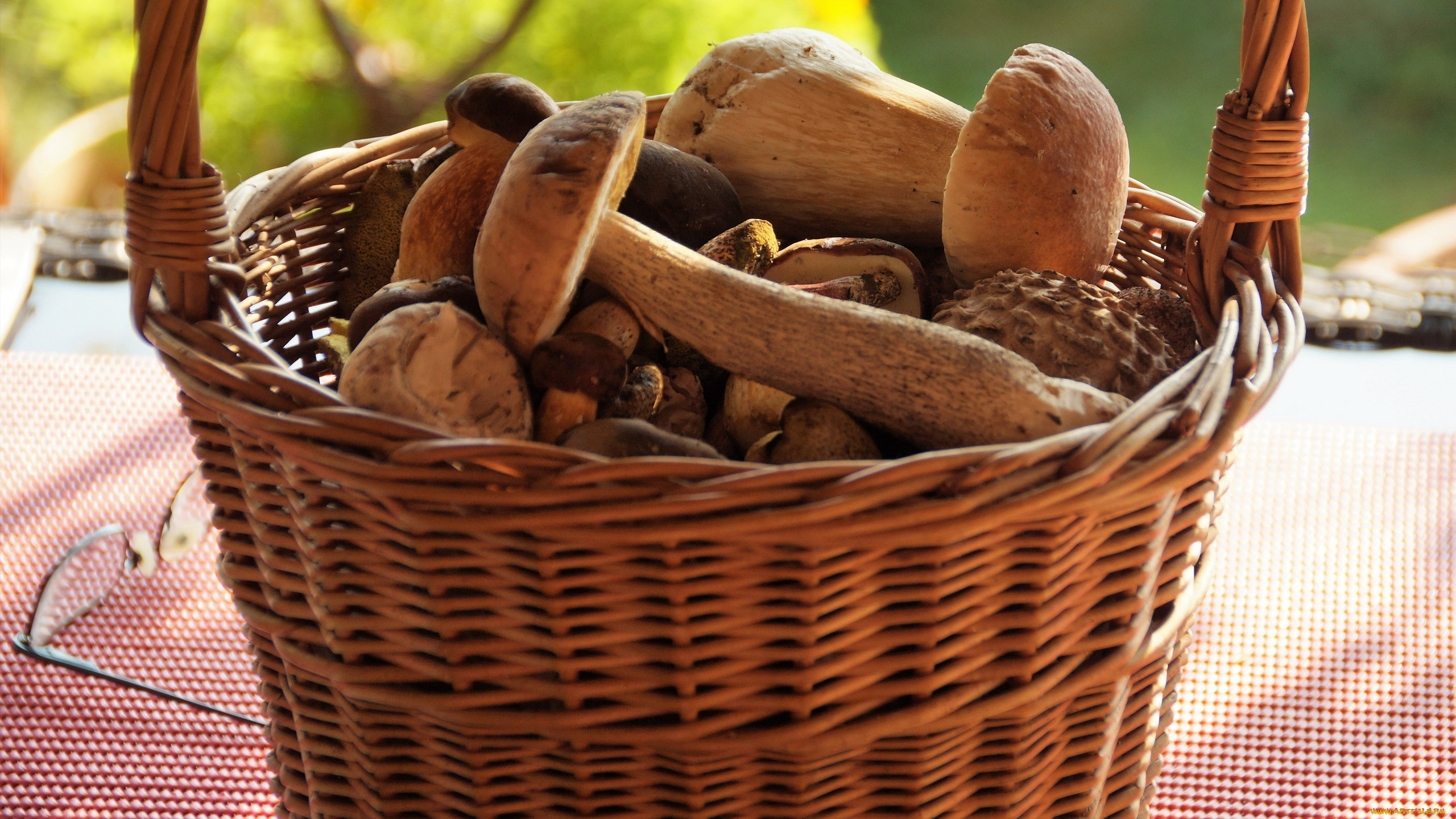 еда, грибы, , грибные, блюда, корзинка, боровик, подосиновик