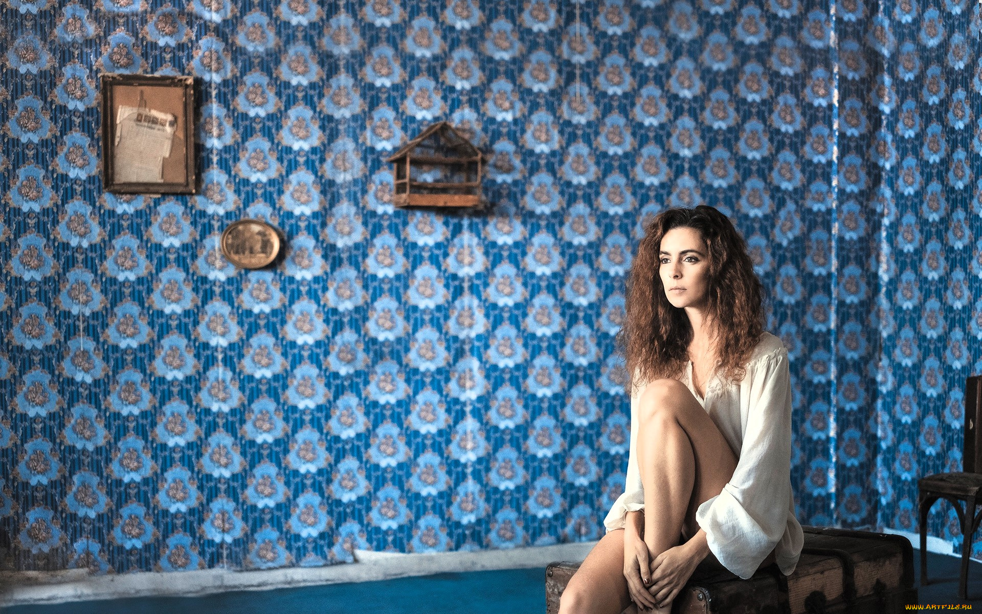 девушки, -, брюнетки, , шатенки, шатенка, блузка, сундук