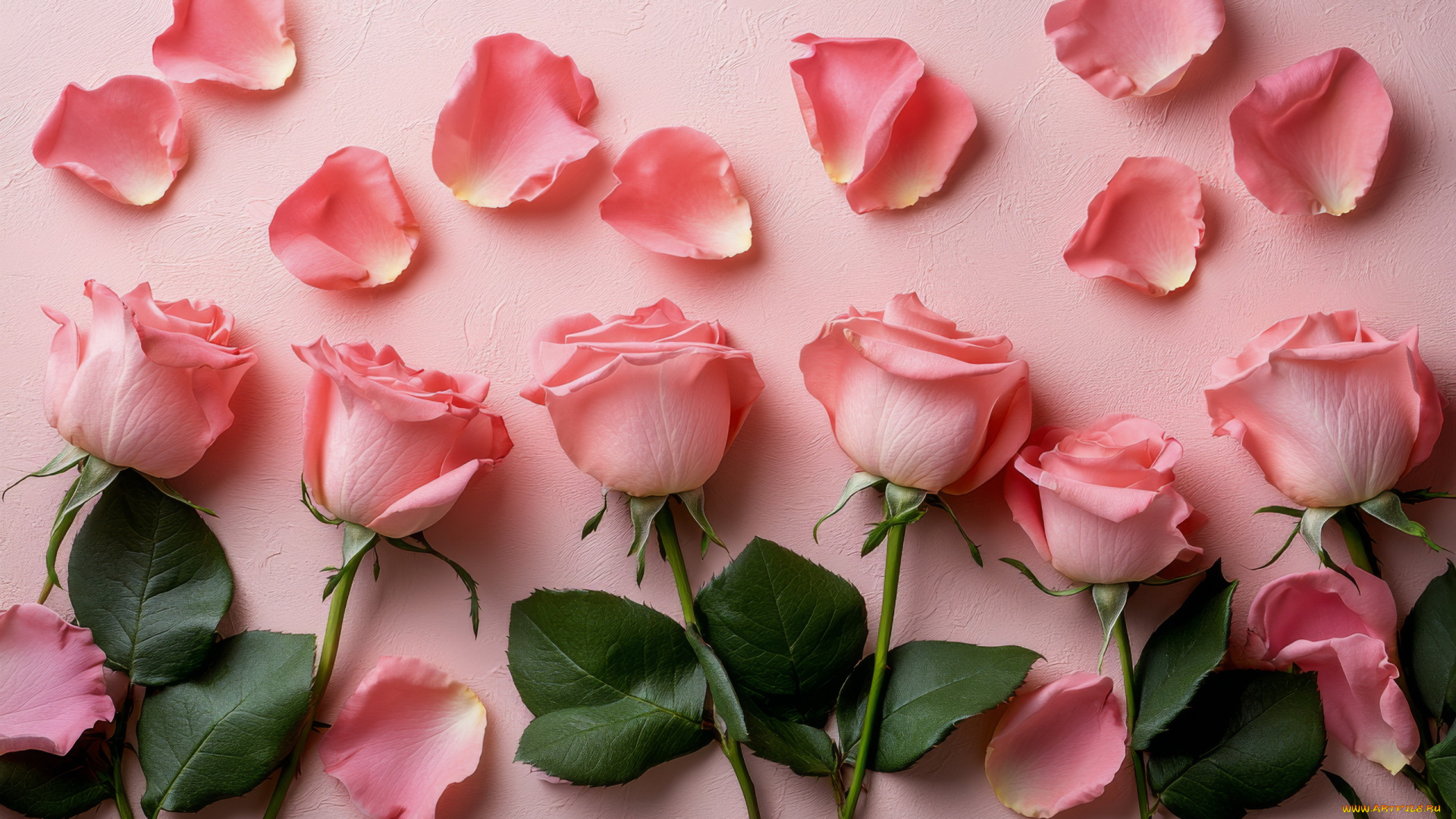 3д, графика, цветы, , flowers, розы