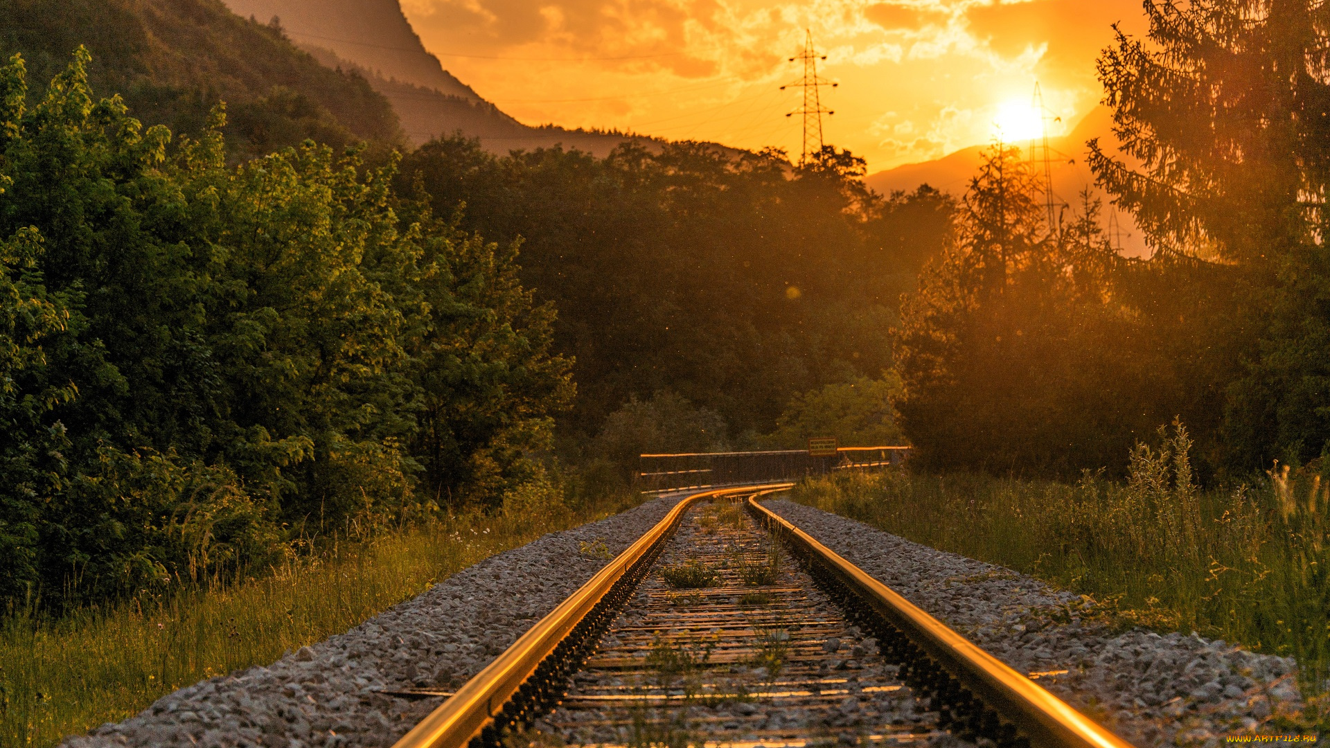 разное, транспортные, средства, и, магистрали, железная, дорога, рельсы, закат, горы, деревья
