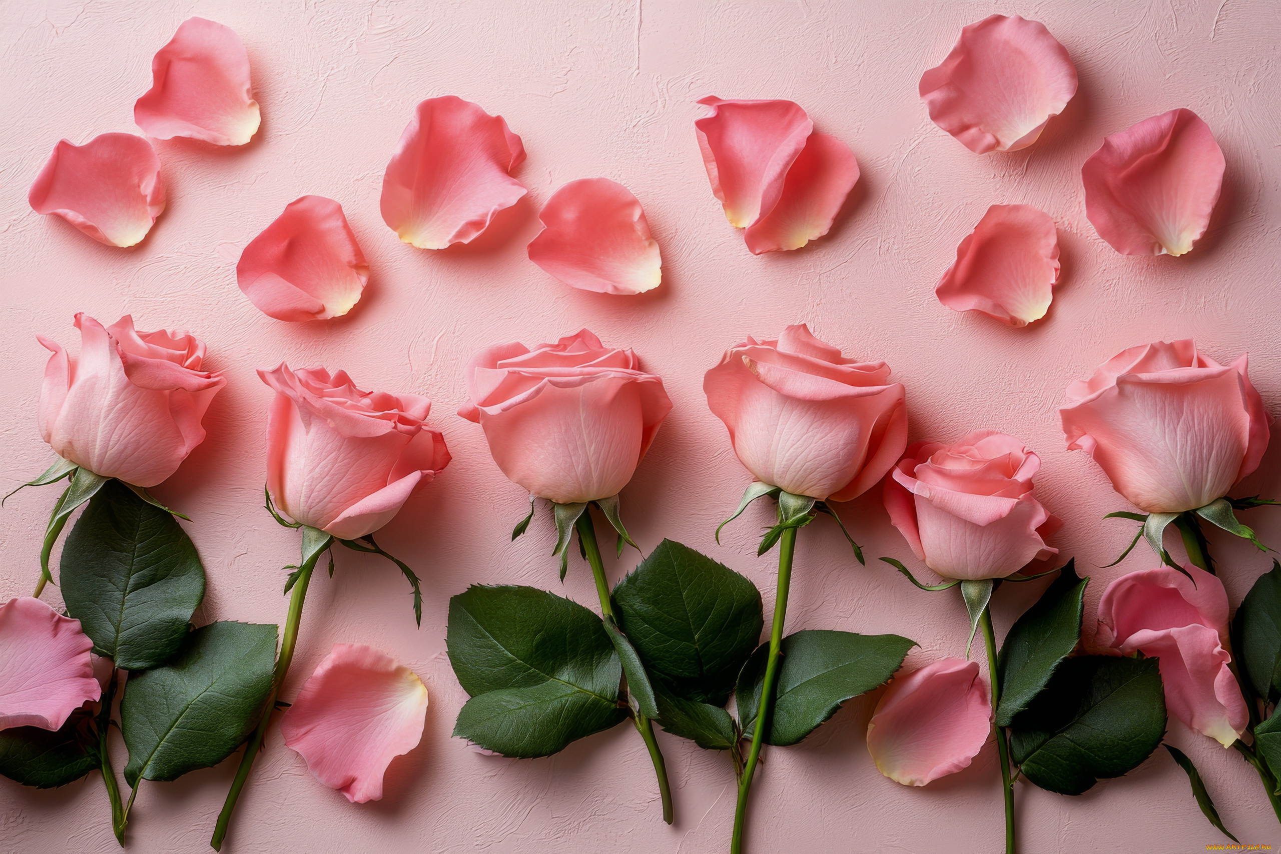 3д, графика, цветы, , flowers, розы