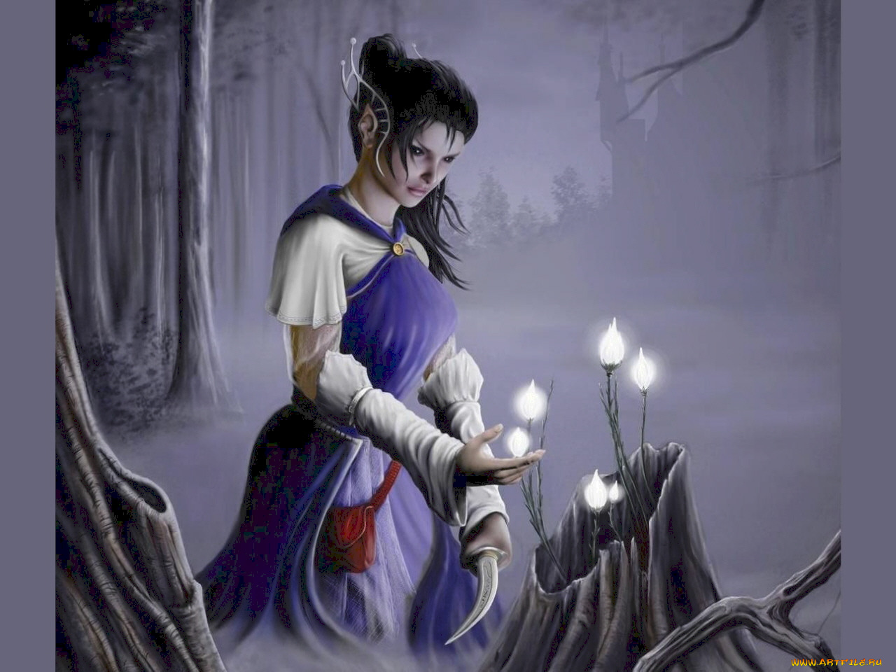 фэнтези, эльфы