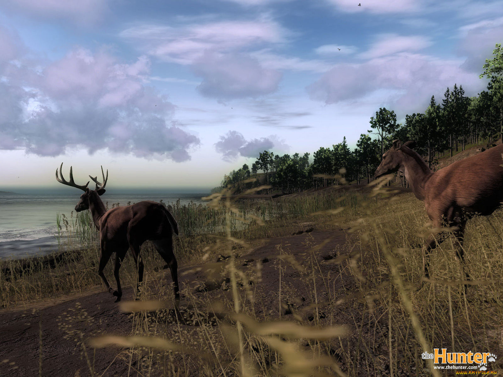 the, hunter, видео, игры