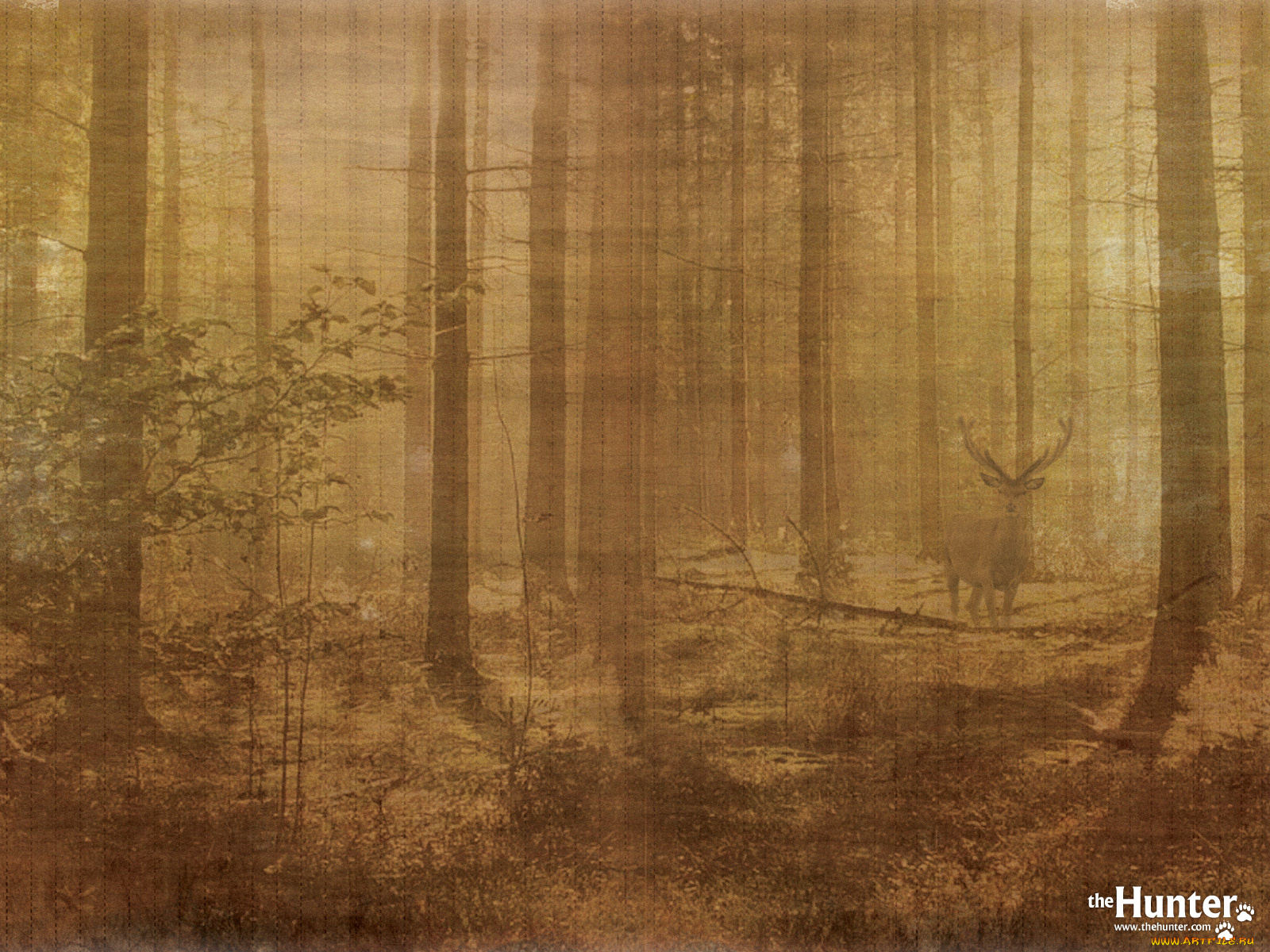 the, hunter, видео, игры