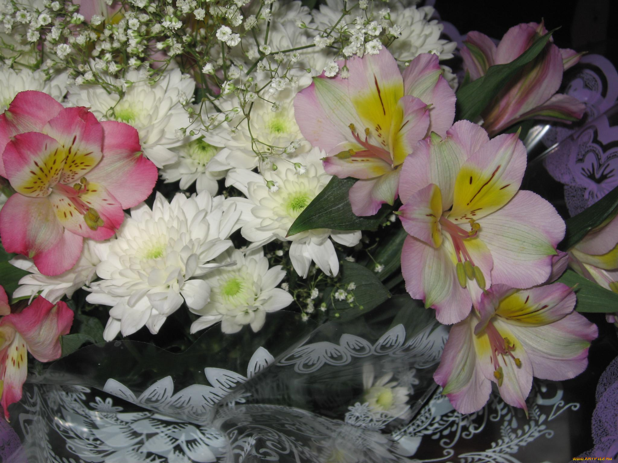 цветы, букеты, композиции