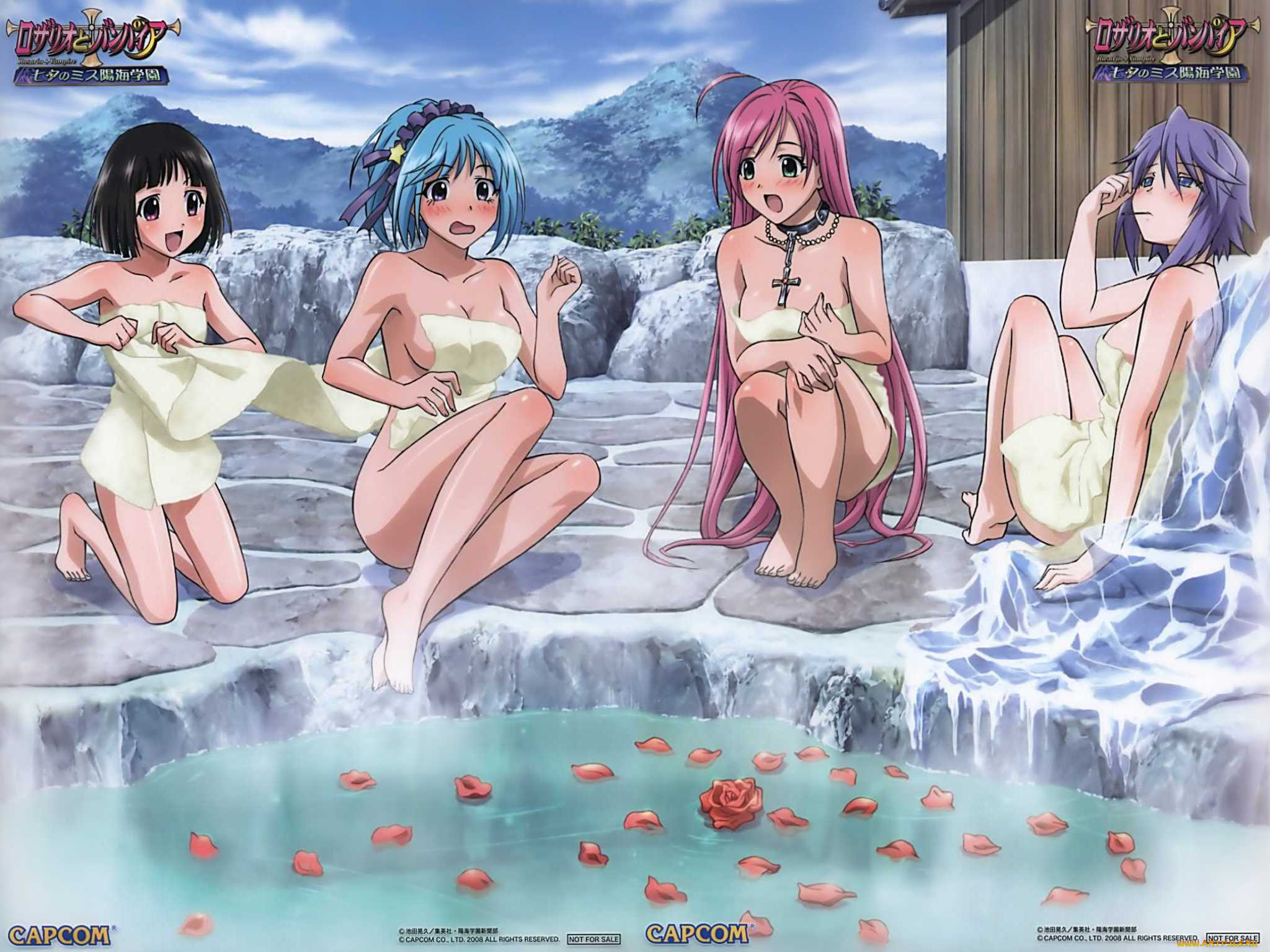 аниме, rosario, vampire