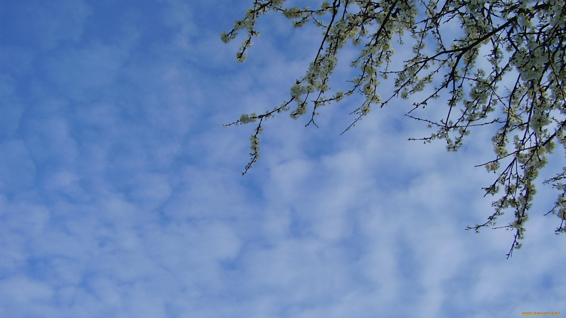 природа, облака