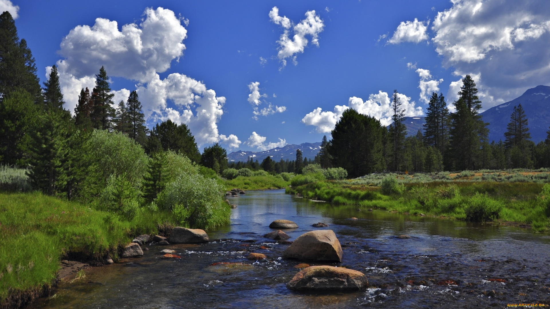 природа, реки, озера