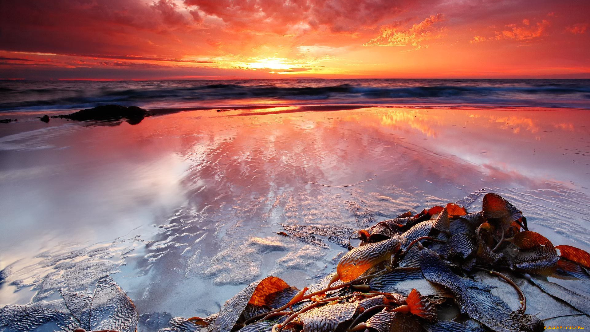 природа, восходы, закаты