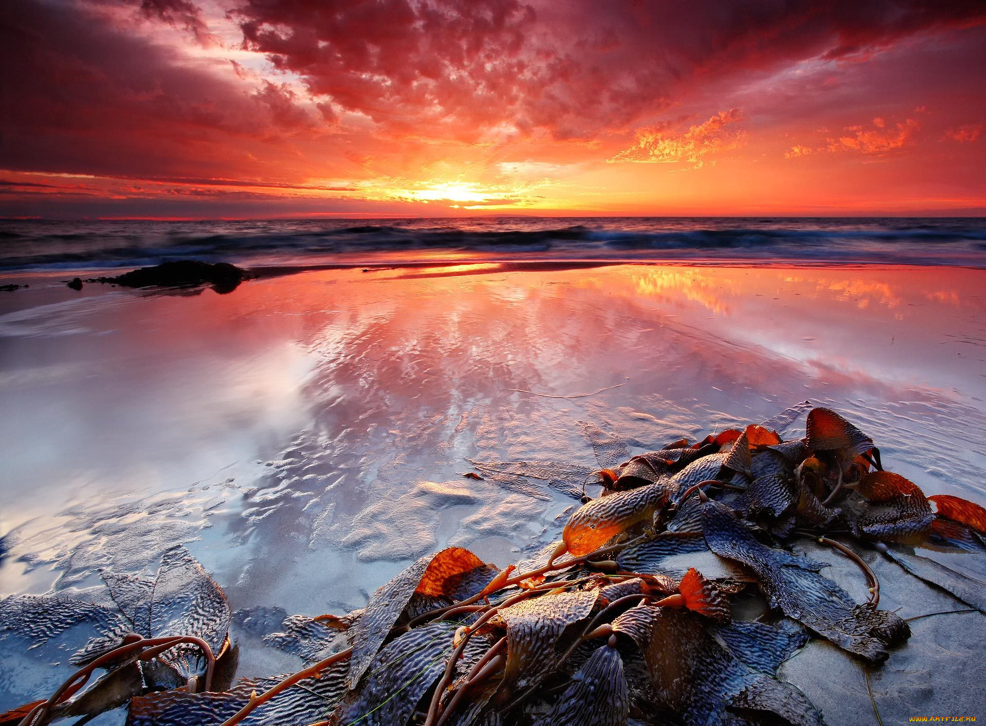 природа, восходы, закаты