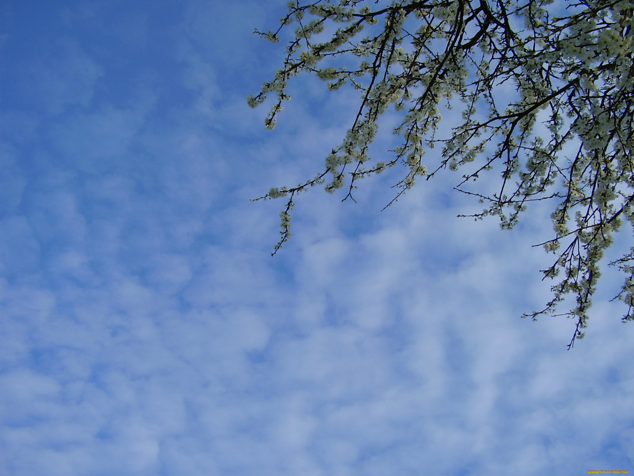 природа, облака