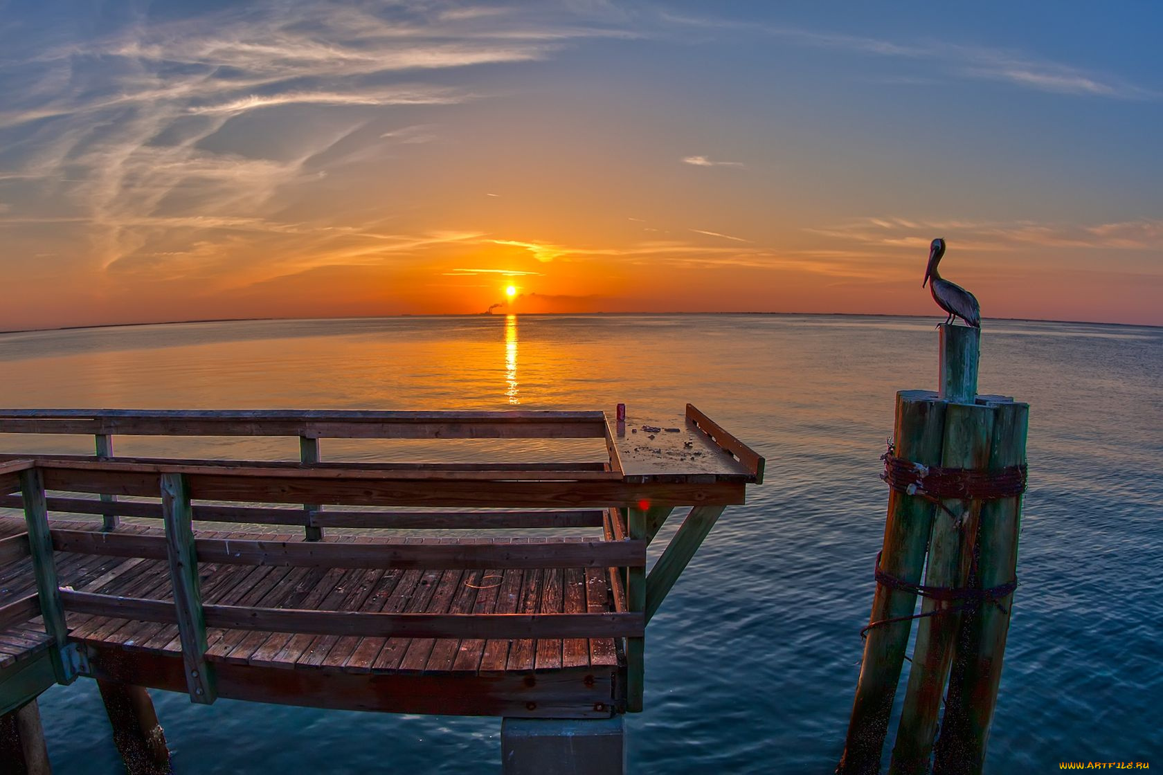 природа, восходы, закаты, пеликан, море, закат
