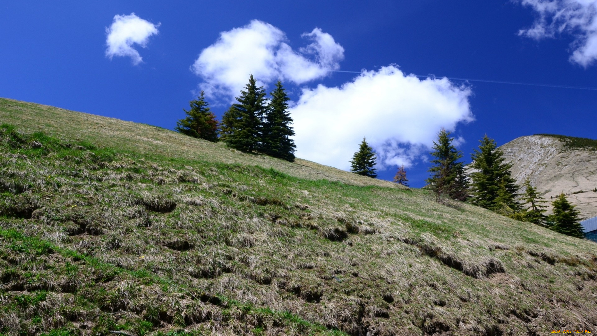 природа, другое, альпийский, луг