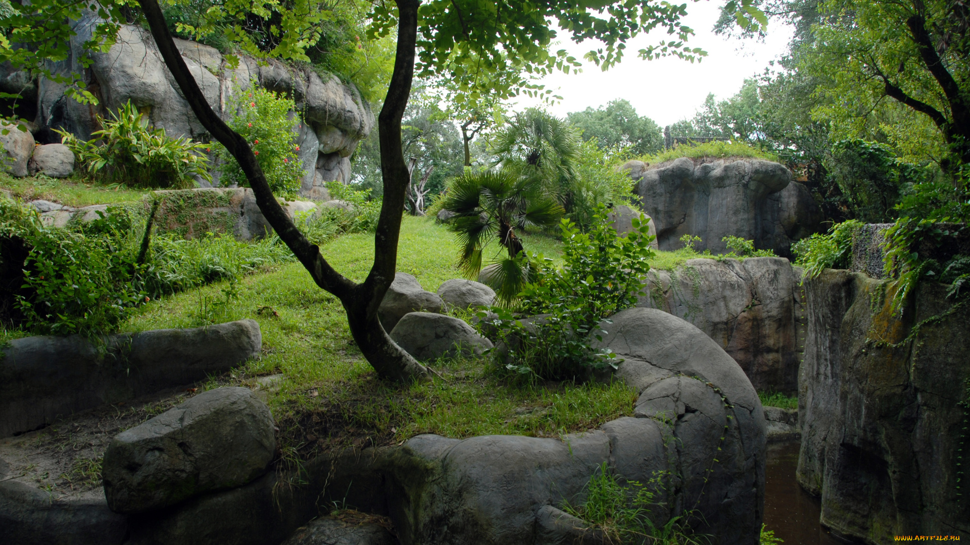 природа, другое, трава, вода, деревья, скалы, лес