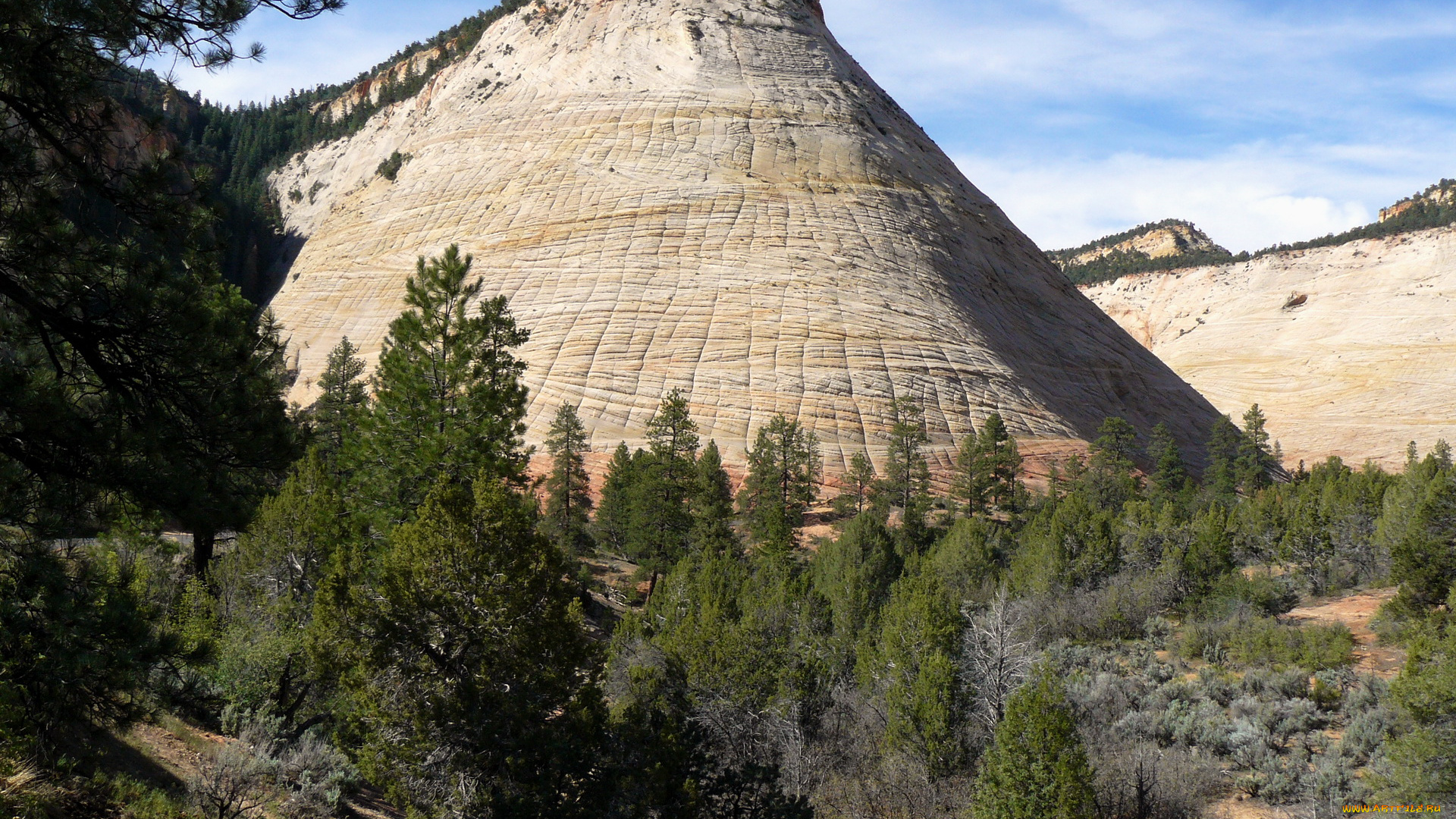 природа, горы, checkerboard, mesa, zion, usa, utah, национальный, парк