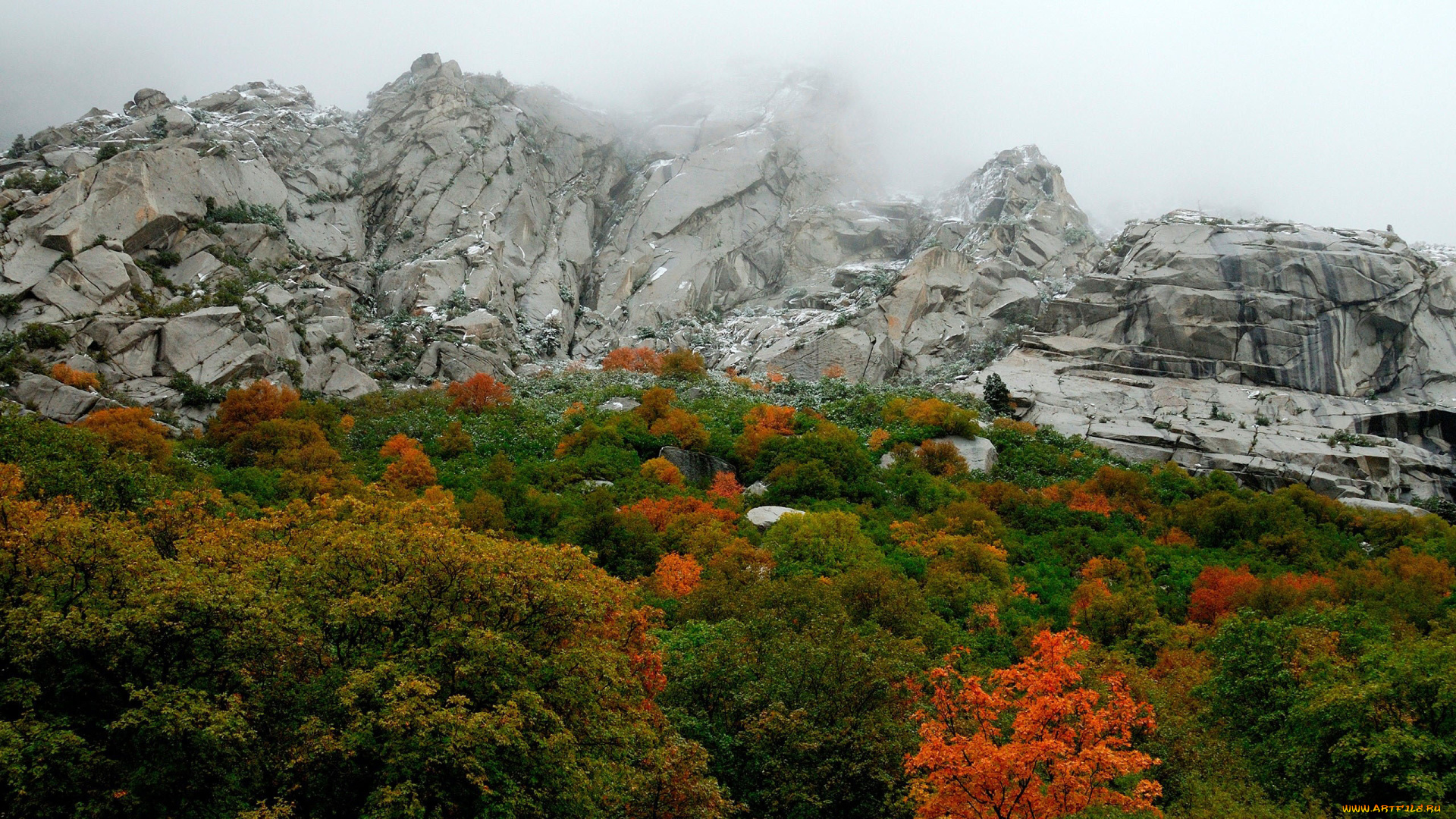природа, горы, деревья, осень, туман