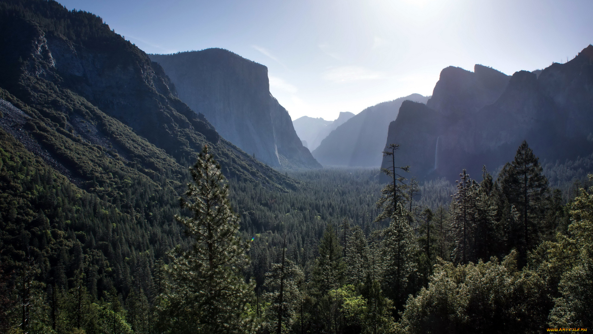 природа, горы, лес