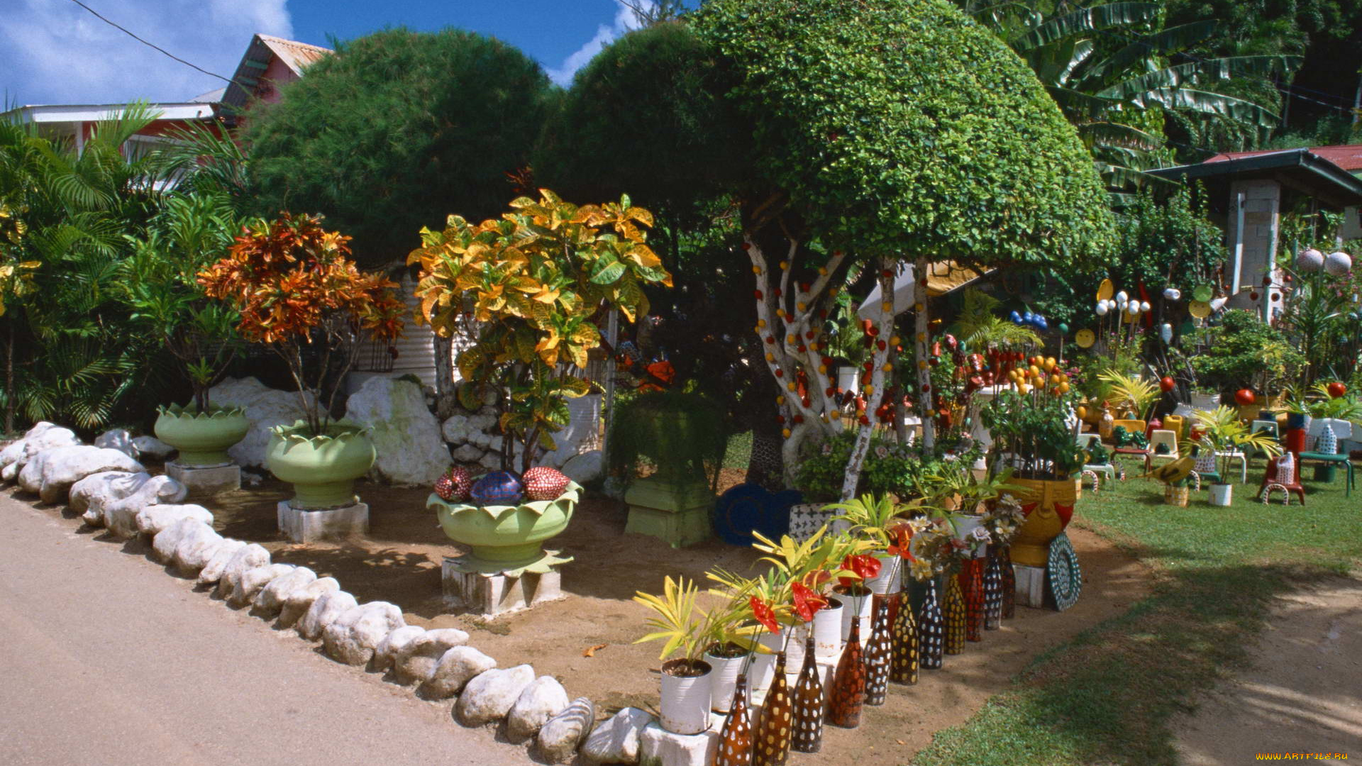 природа, парк, hawaii, деревья, аллея