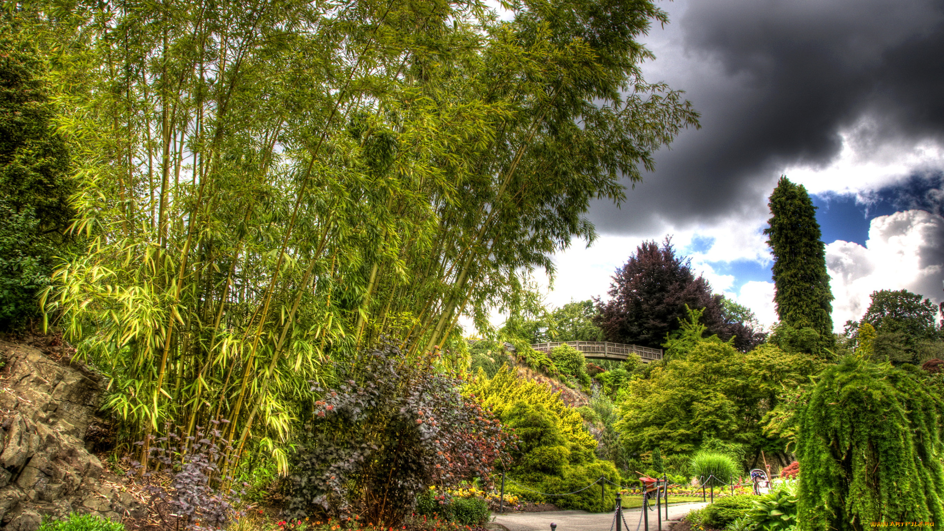 природа, парк, канада, queen, elizabeth, vancouver