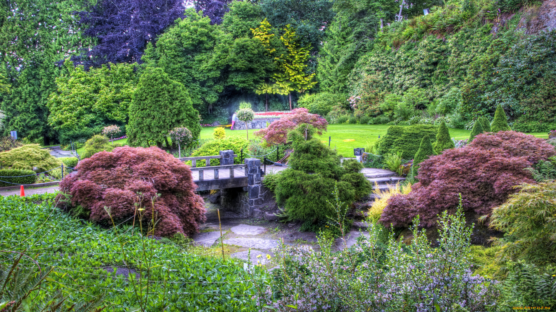 природа, парк, канада, queen, elizabeth, vancouver