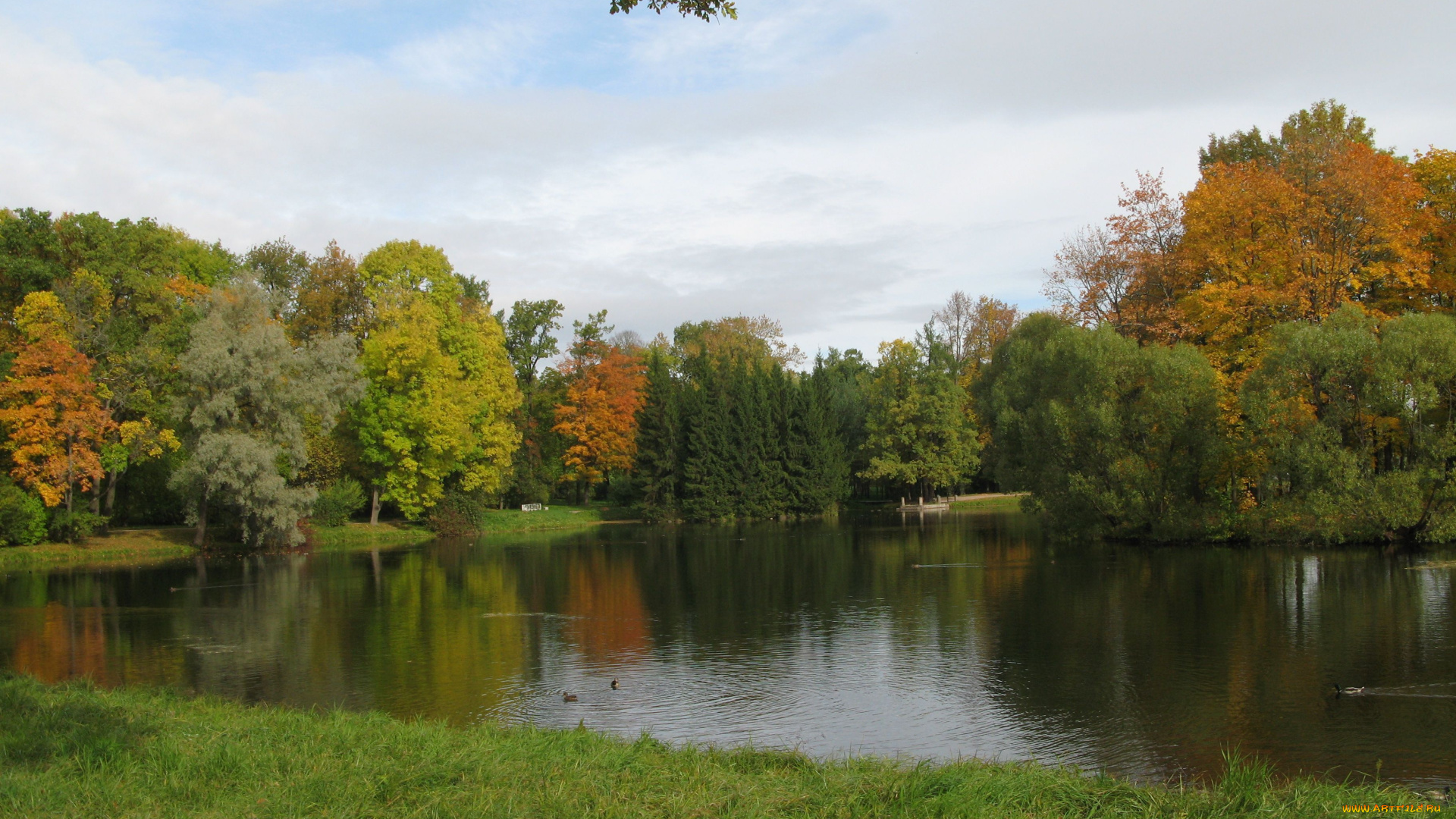 природа, парк, осень, вода, деревья