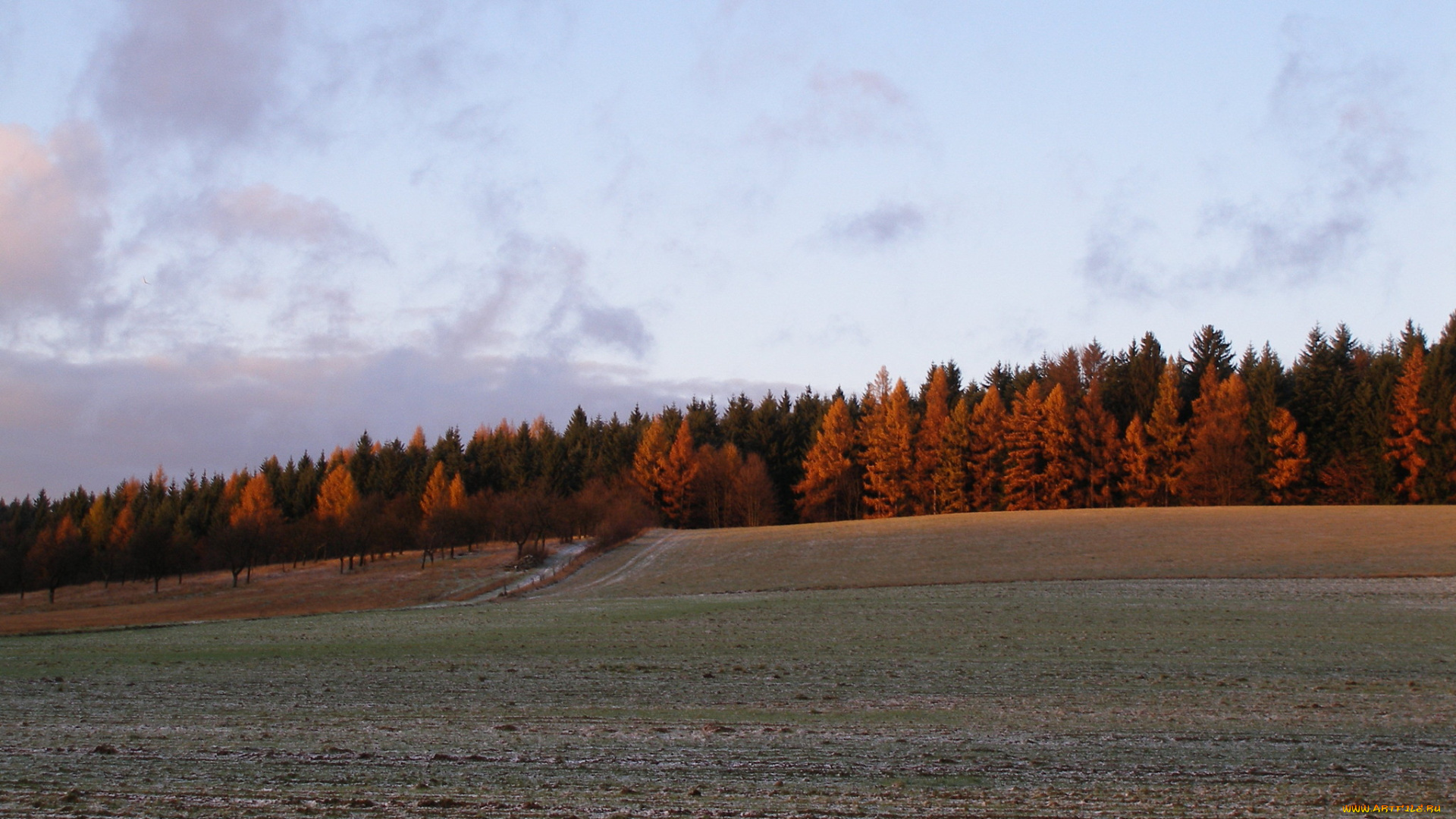 природа, поля, поле, дорога, лес, осень