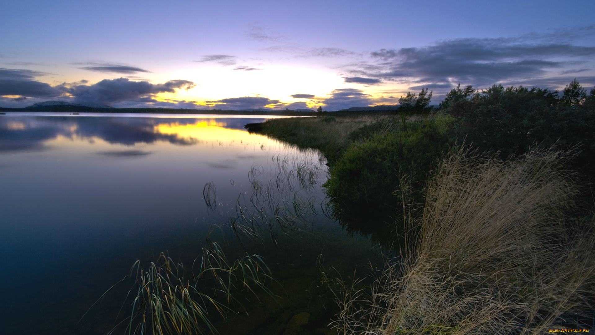 природа, реки, озера, берег, река