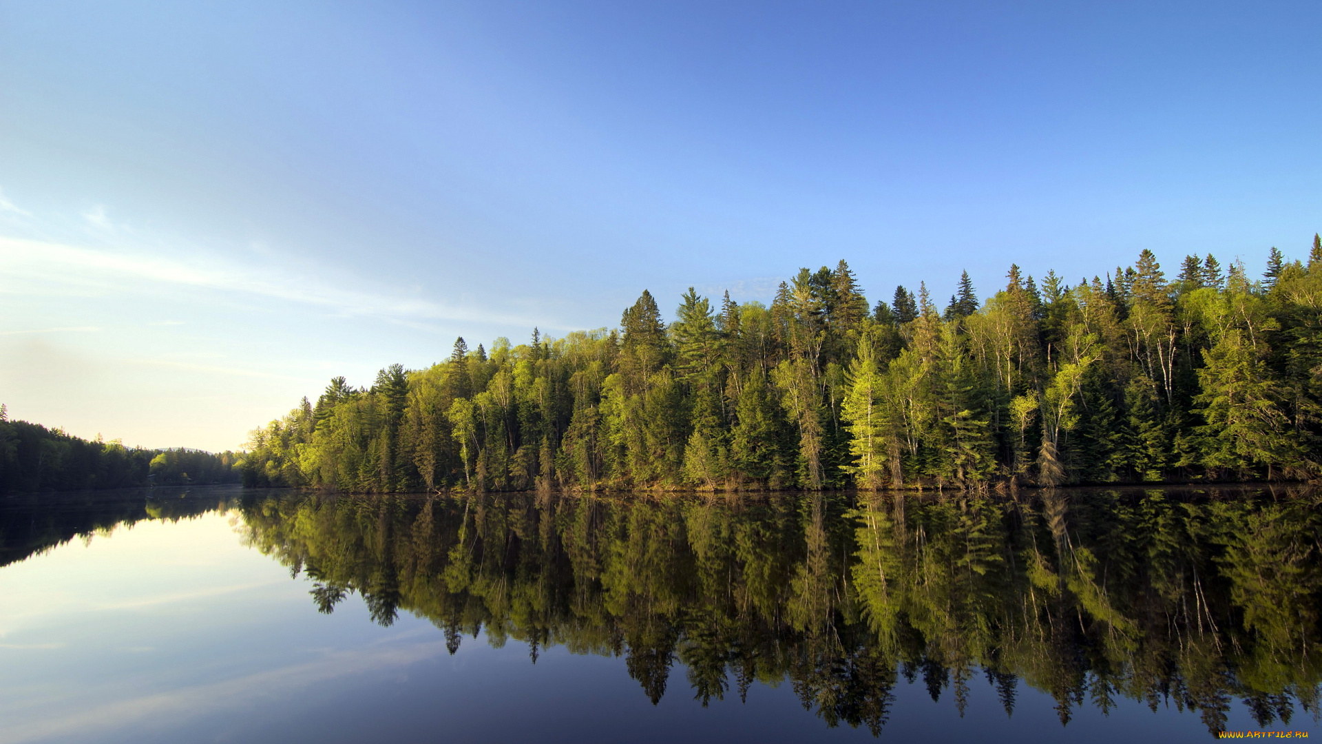 природа, реки, озера, озеро, лес, деревья