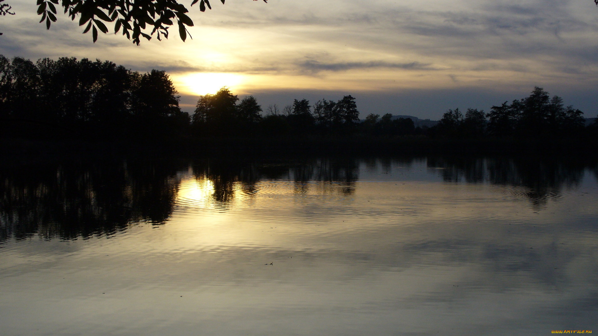 природа, реки, озера, река, лес, закат