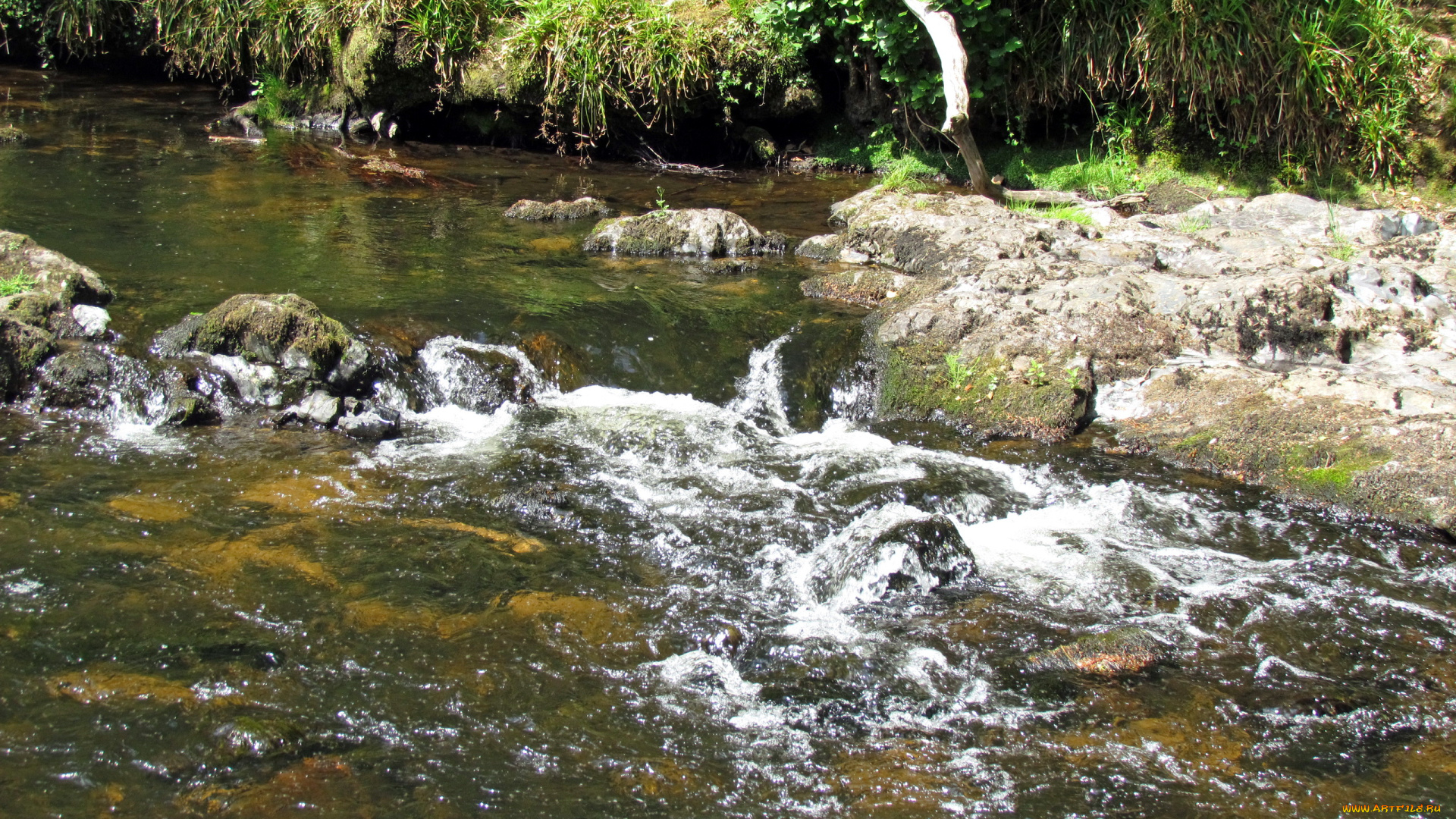 природа, реки, озера, river, teign, камни