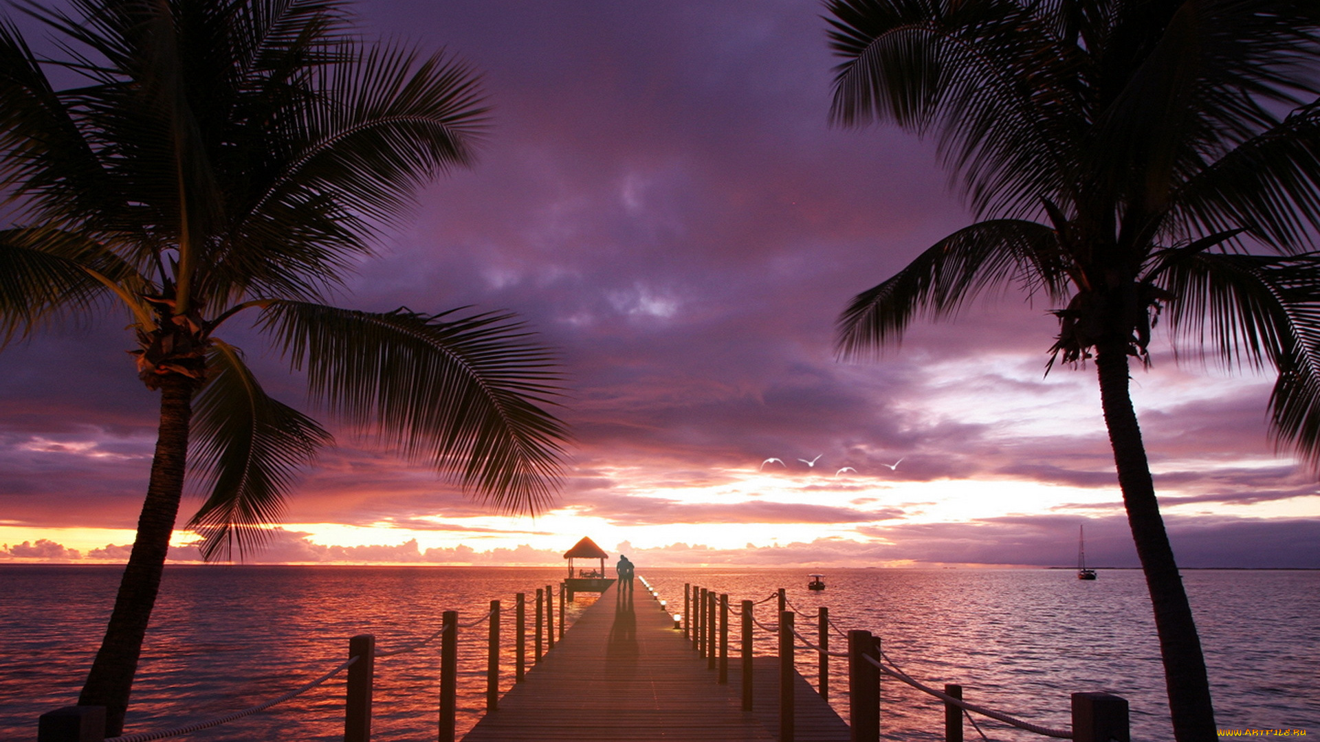 природа, тропики, пальмы, океан, море, любовь, закат