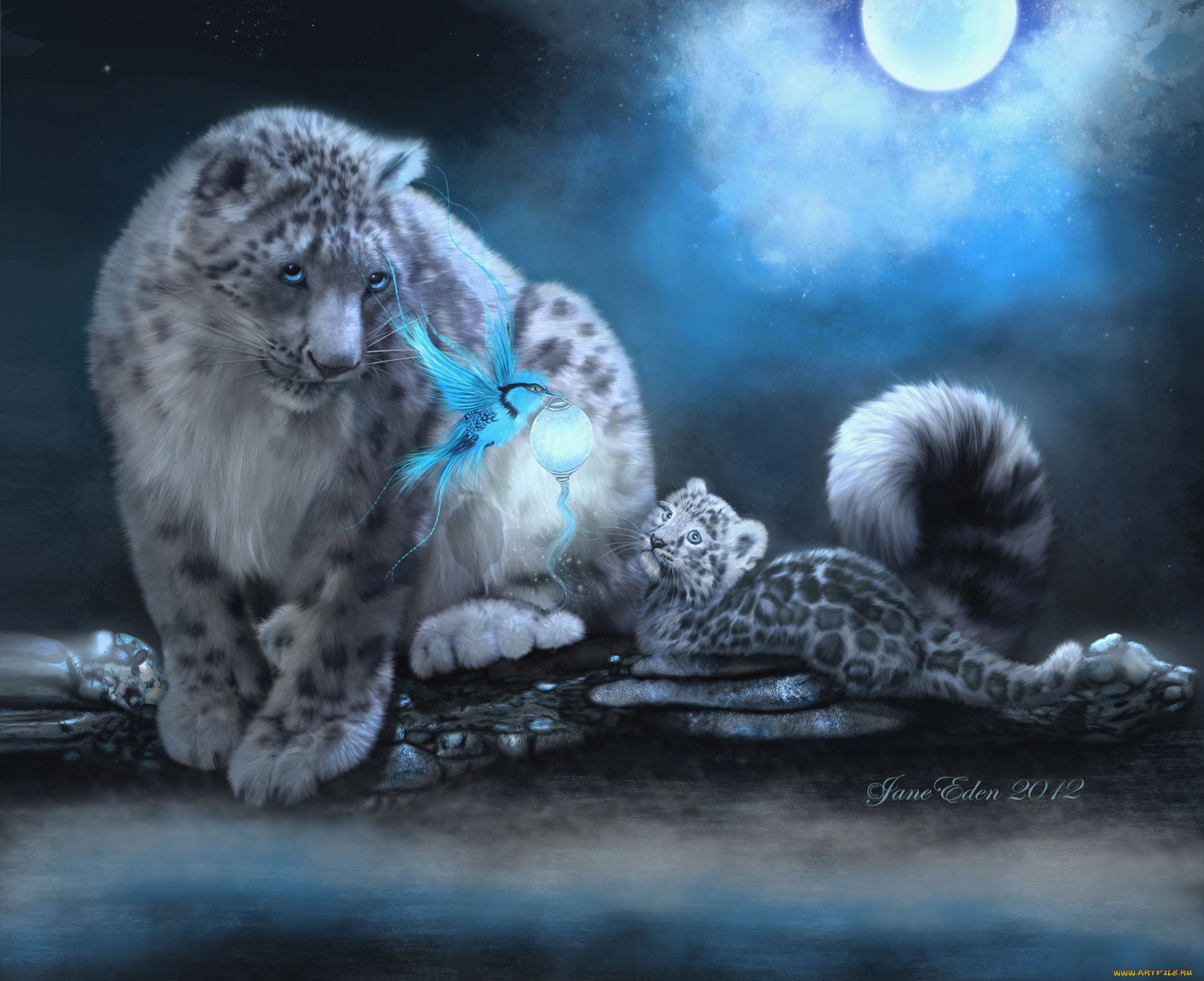 рисованные, животные, тигры, луна, птица