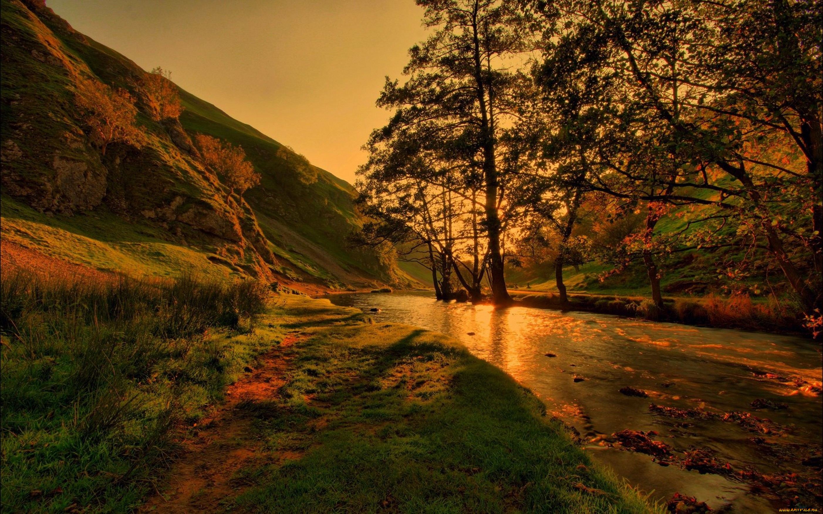 природа, реки, озера, поток, река, гора, деревья