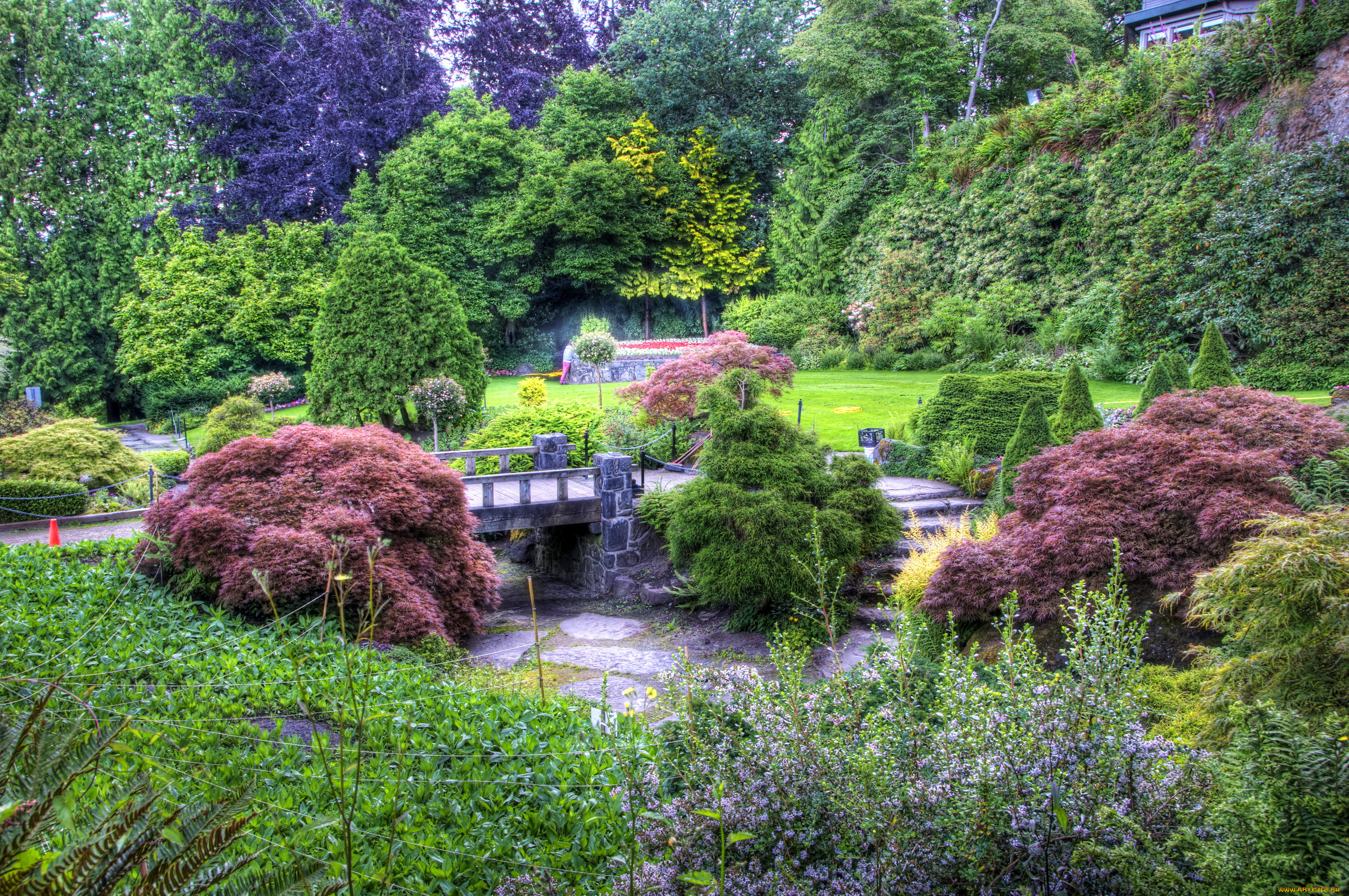 природа, парк, канада, queen, elizabeth, vancouver