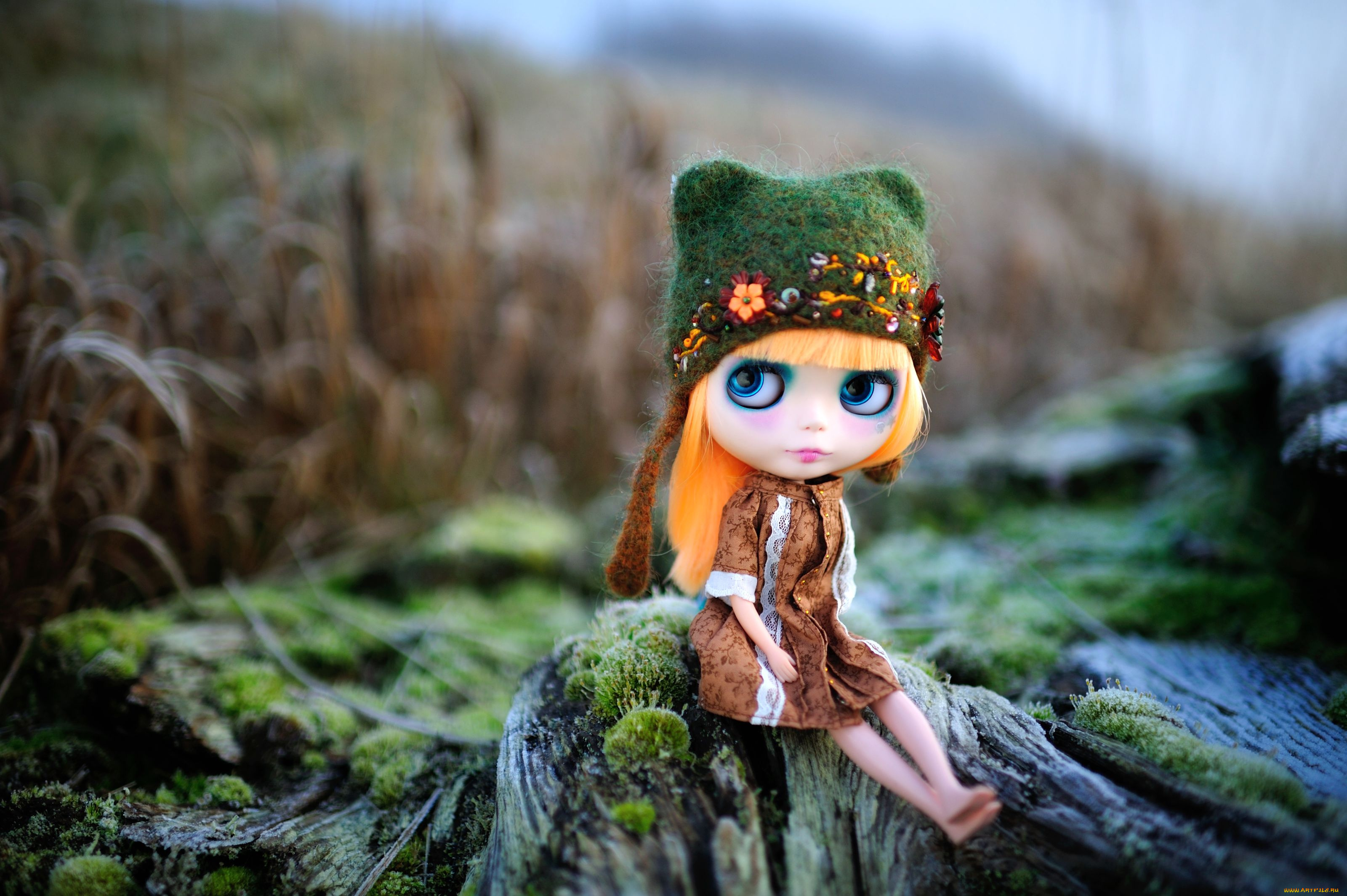 разное, игрушки, кукла, шапочка