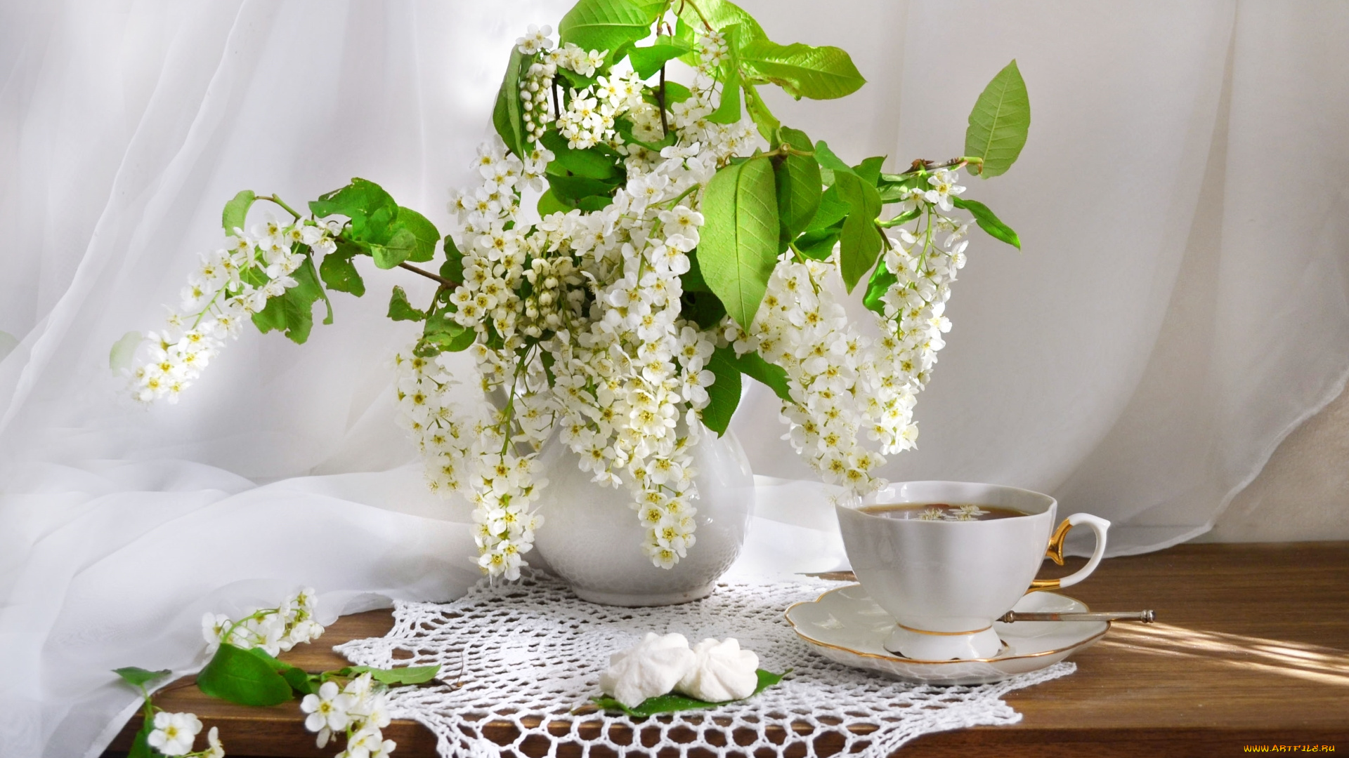 цветы, цветущие, деревья, , , кустарники, букет, черемуха