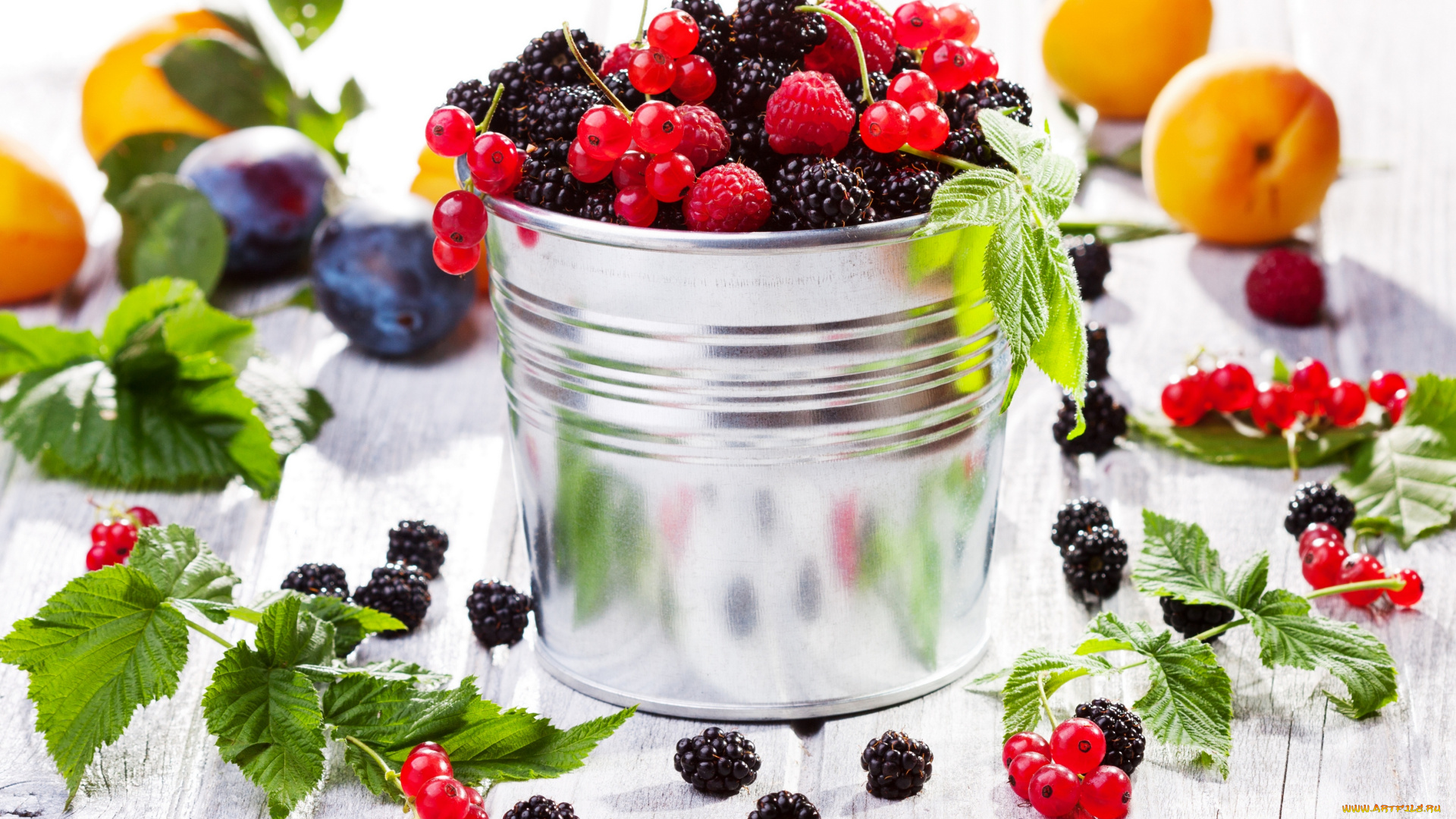 еда, фрукты, , ягоды, ягоды, ежевика, малина, красная, смородина, ведёрко