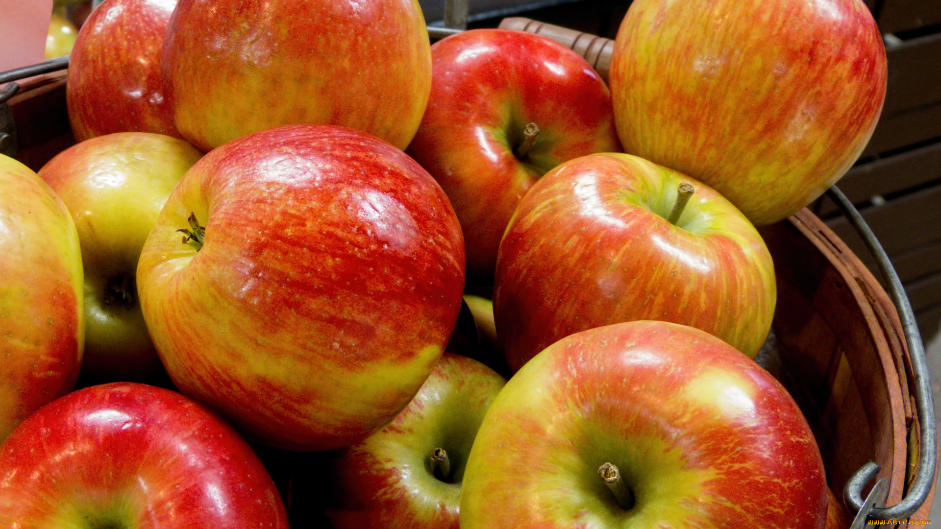 еда, Яблоки, плоды