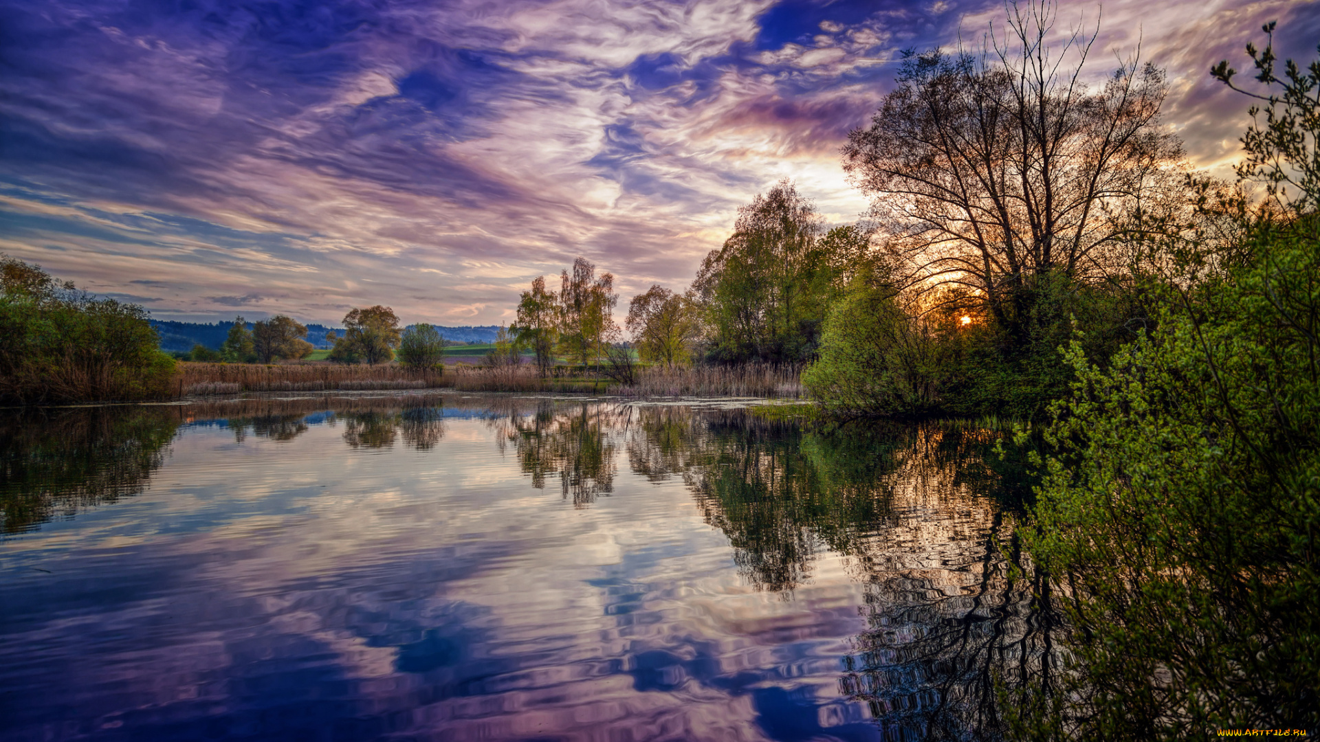 природа, реки, озера, свет, заросли, река, простор