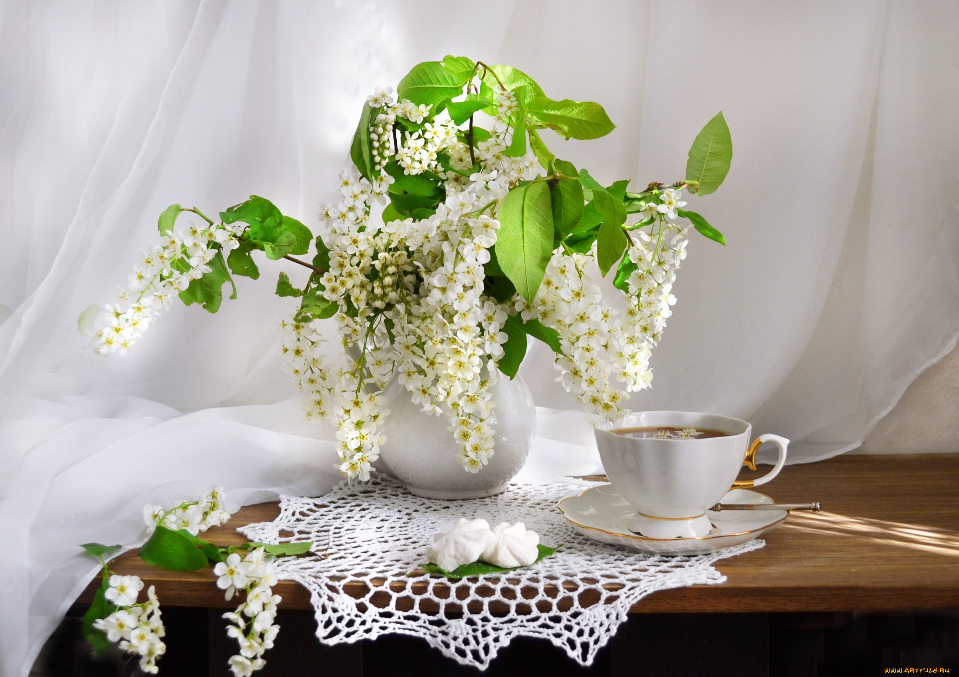 цветы, цветущие, деревья, , , кустарники, букет, черемуха