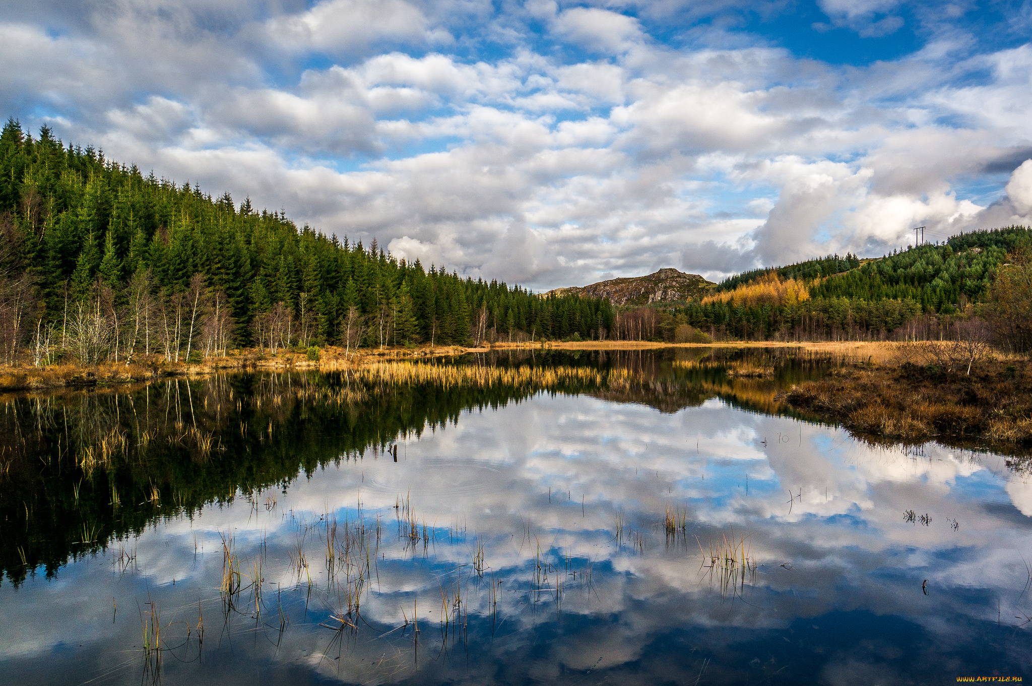 природа, реки, озера, простор, река, лес, горы