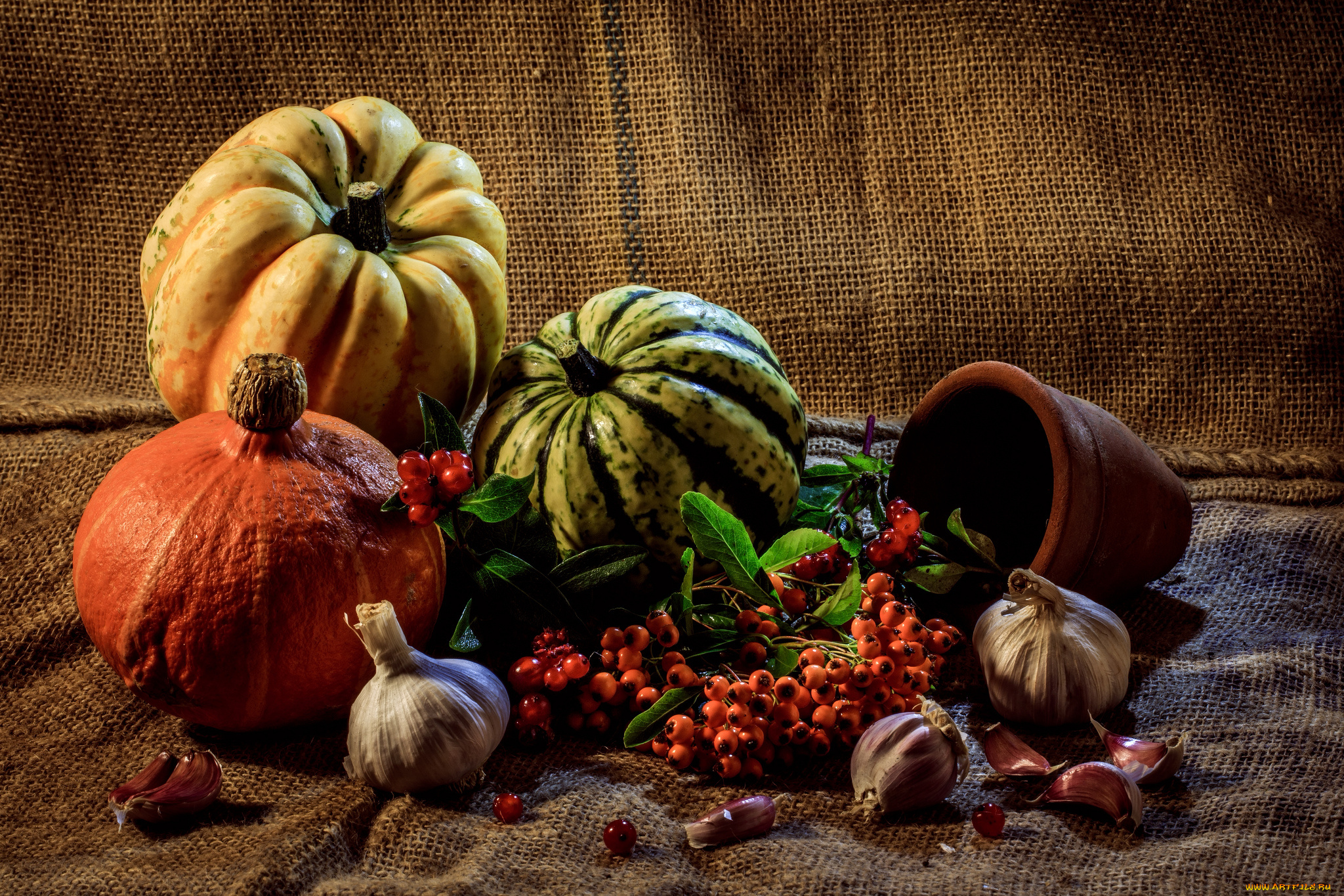 еда, овощи, тыква, чеснок, рябина